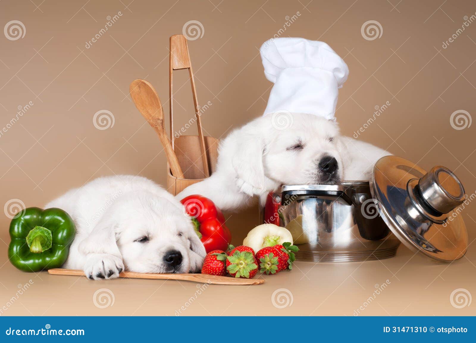 Dois cachorrinhos adoráveis adormecidos ao cozinhar. Dois cachorrinhos do golden retriever adormecidos