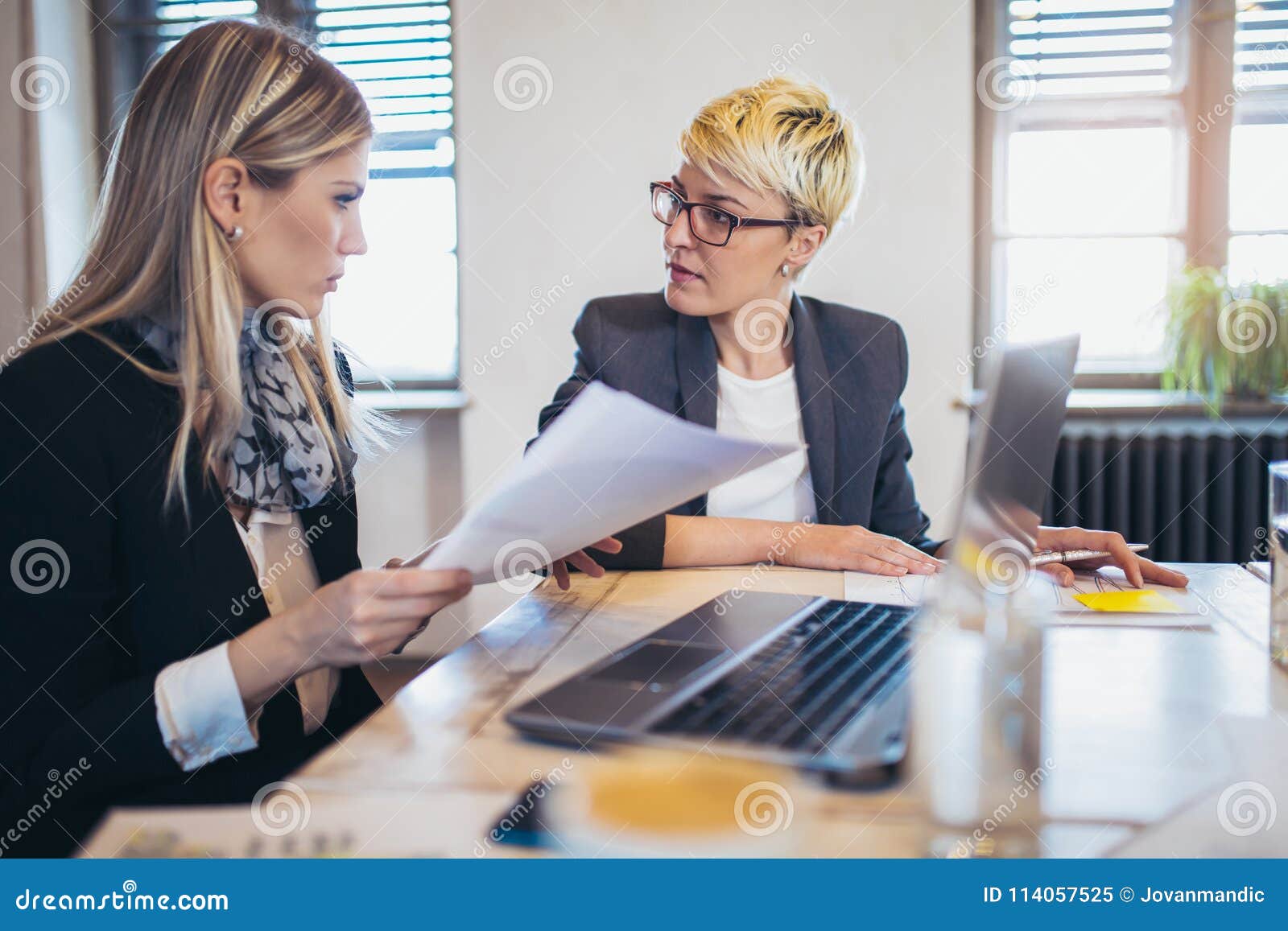 Dois colegas fêmeas no escritório, trabalhando junto