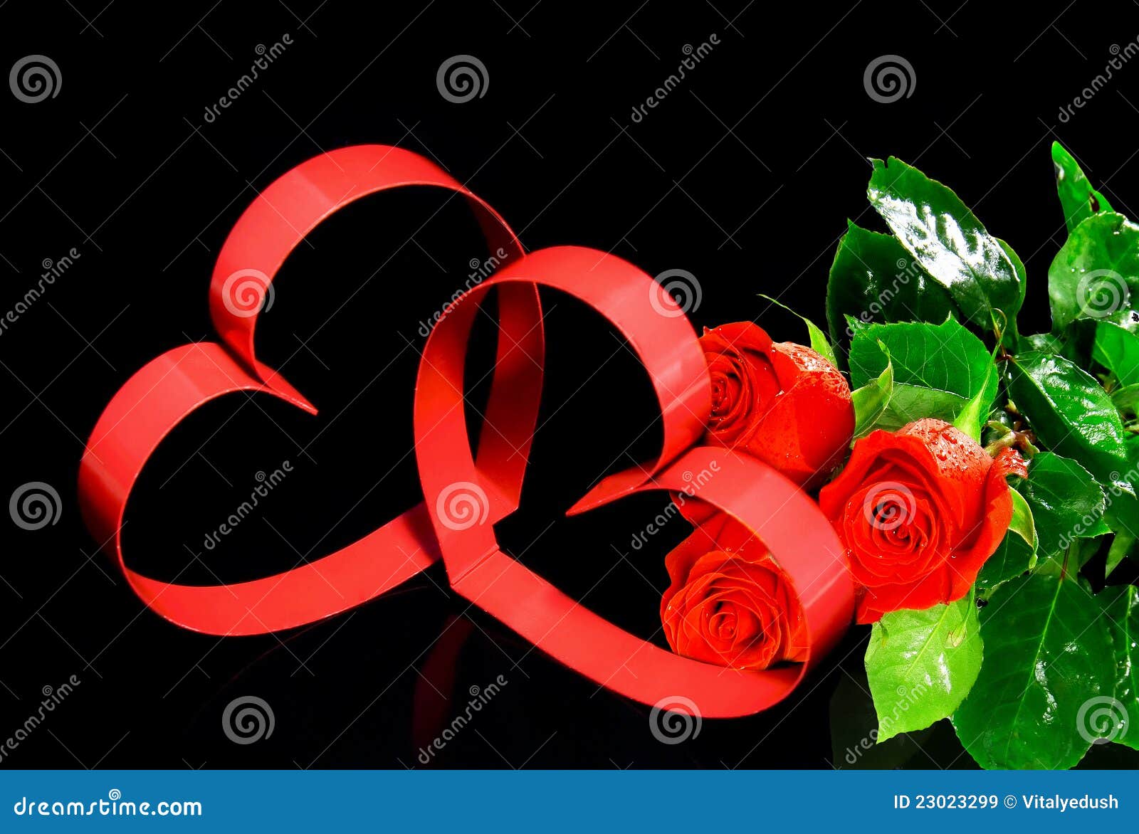 Dois Coracoes Rosas Vermelhas Imagem De Stock Imagem De Vermelhas Coracoes 23023299