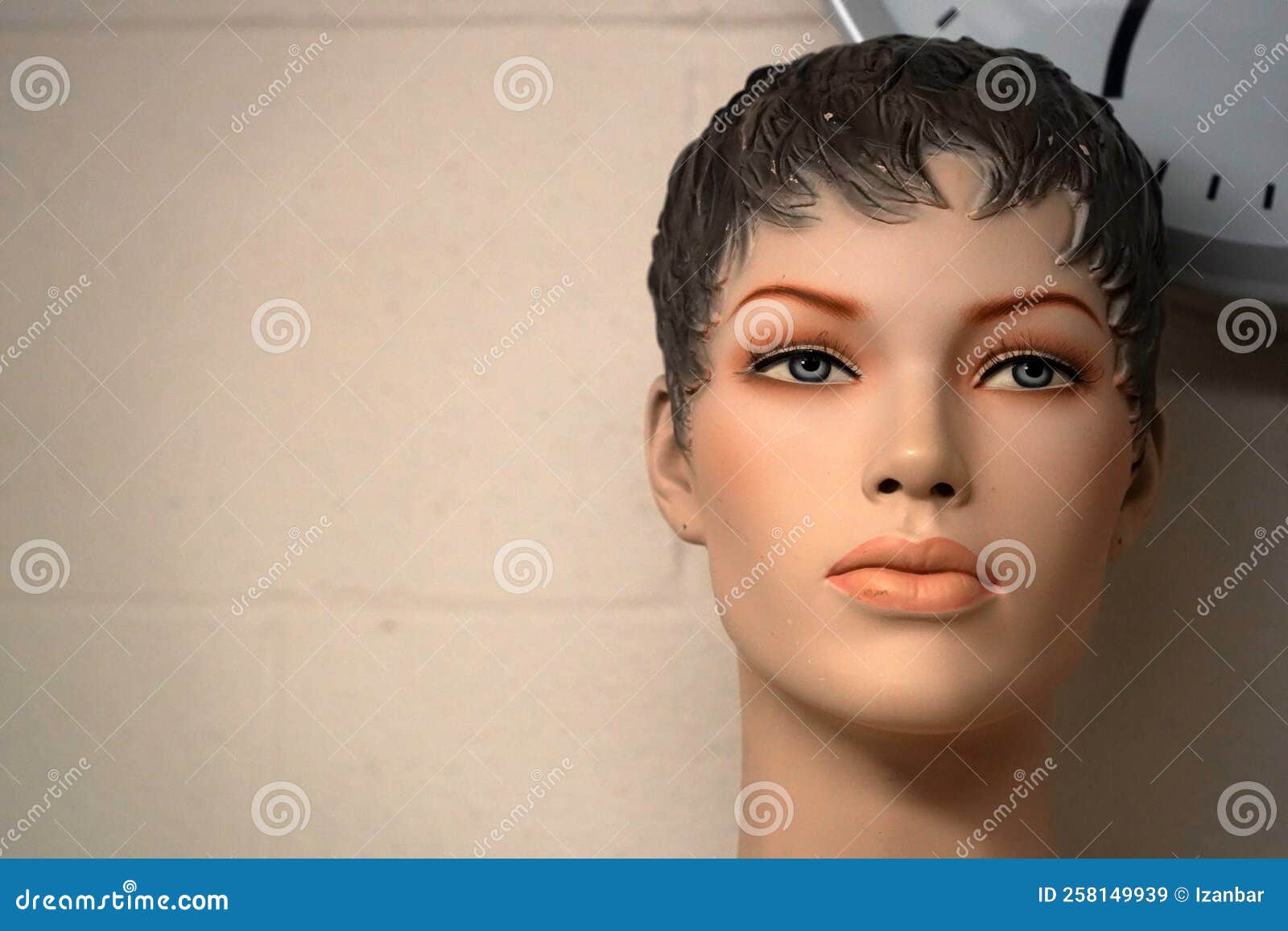 Female Mannequin Figure Close Up Stock Image Image of female, shop 258149939