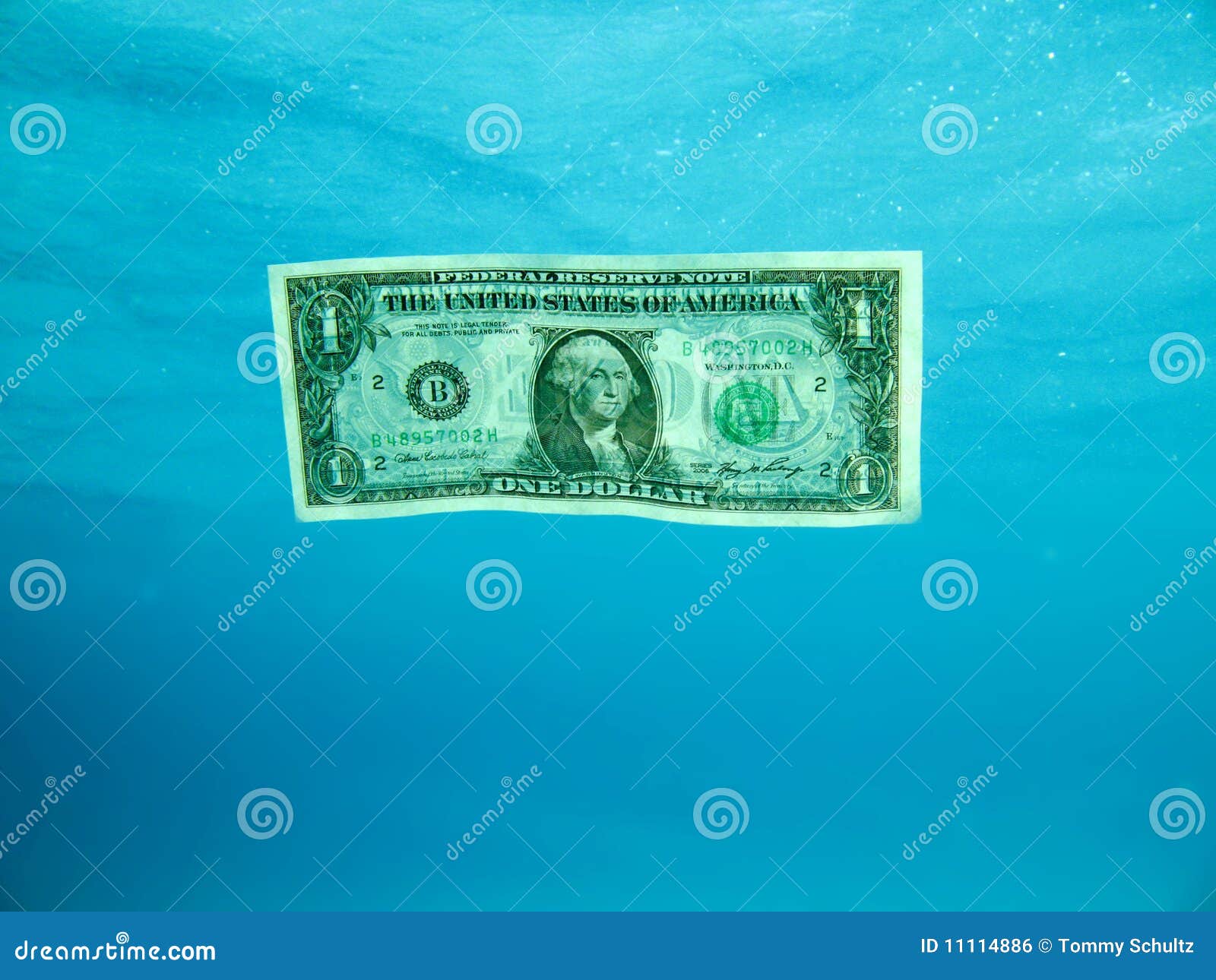 Dollar Bill Underwater stock photo. Image of water, bill 11114886