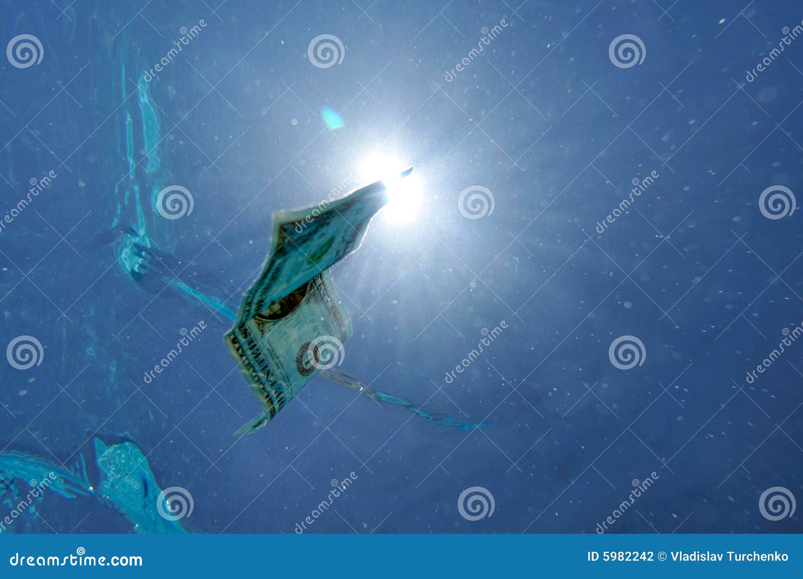 Dollar bill underwater stock photo. Image of underwater 5982242