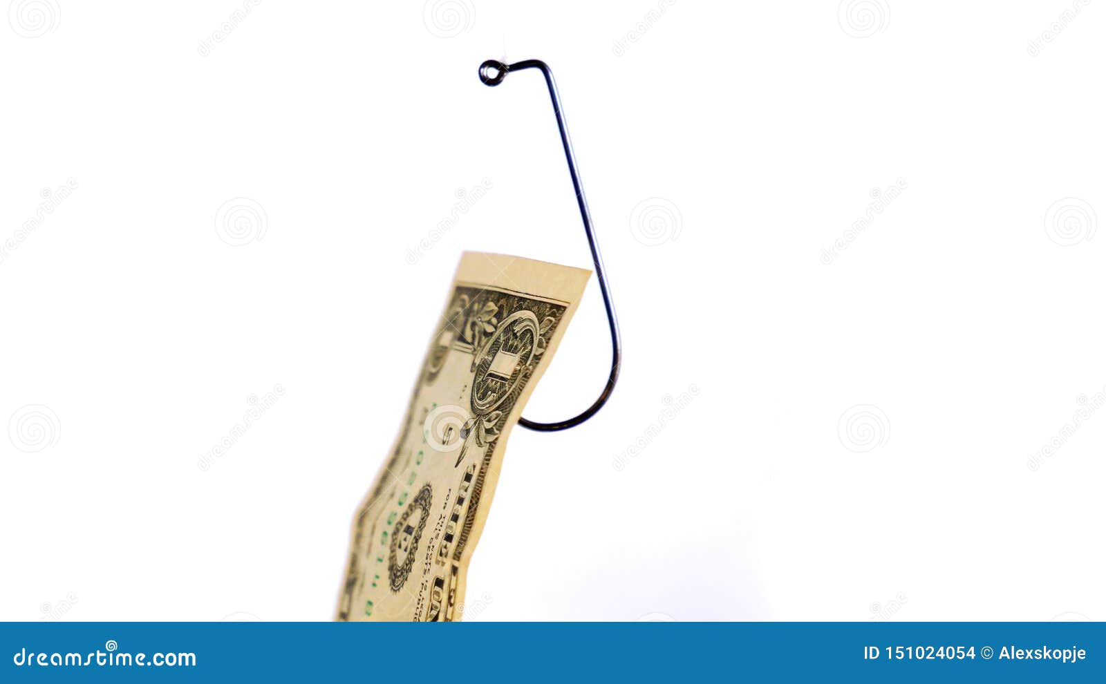 Dollar on a Fishing Hook Isolated on White Background Stock Photo