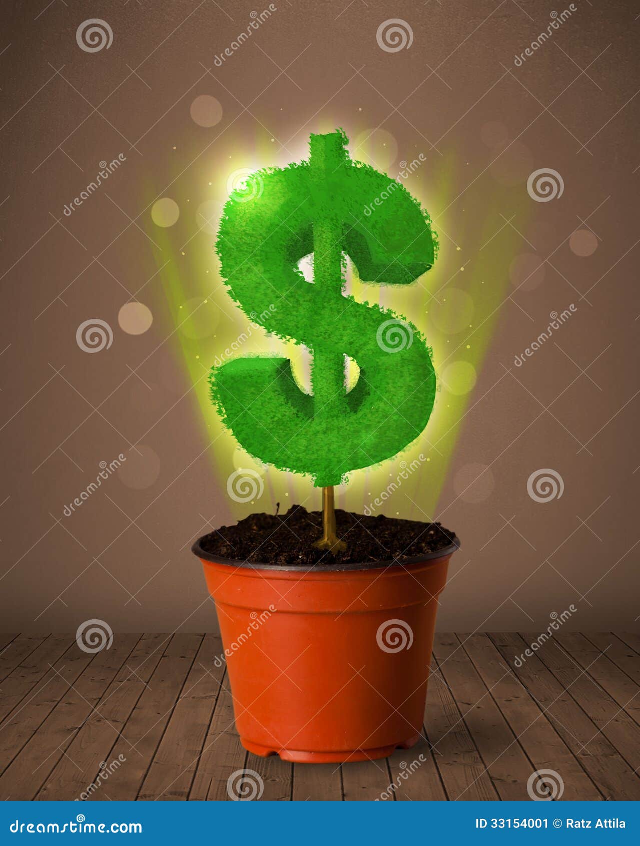Dollar Sign Tree Coming Out of Flowerpot Stock Image - Image of herb ...