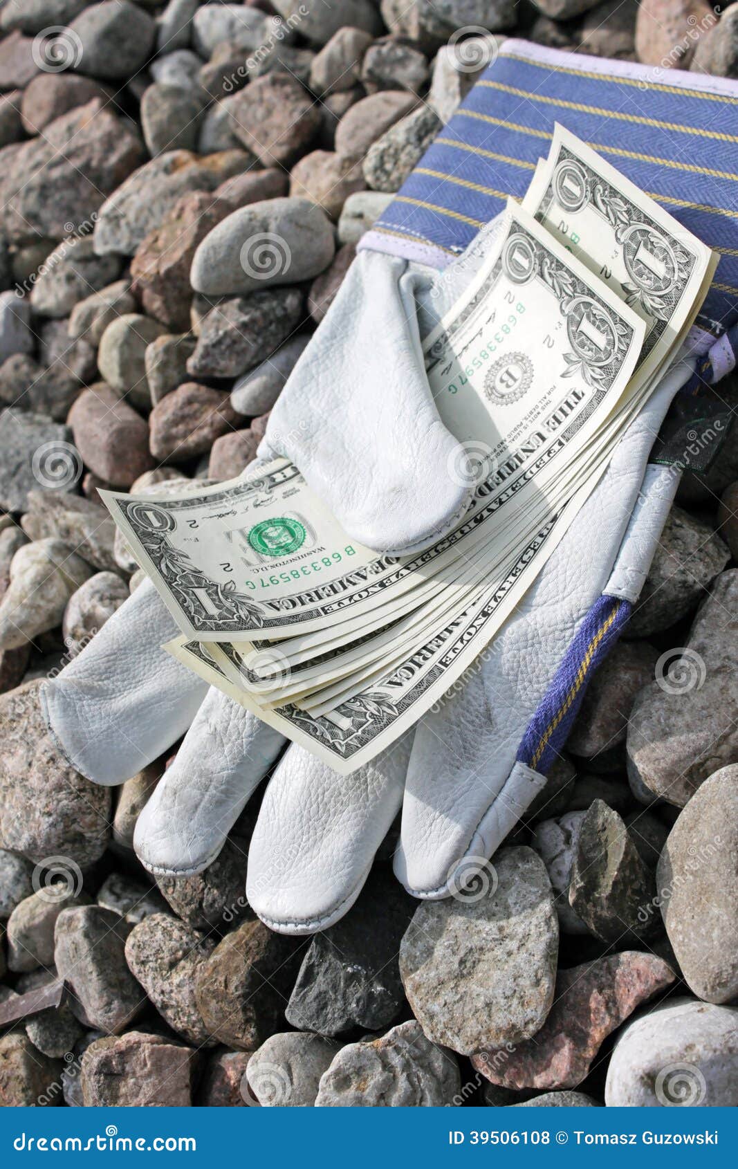 Dollars and gloves stock photo. Image of fees, business 39506108