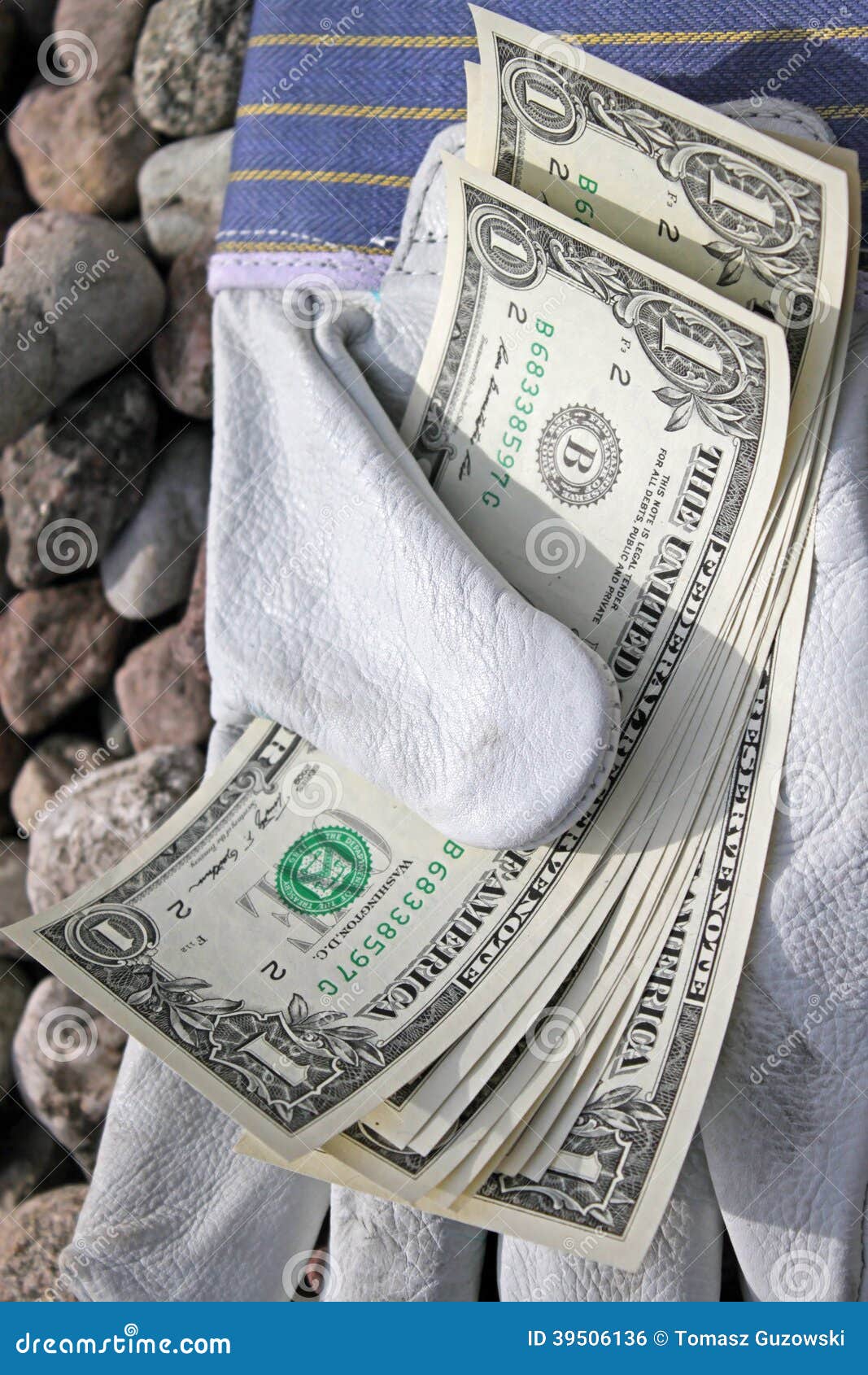 Dollars and gloves stock photo. Image of case, decision 39506136