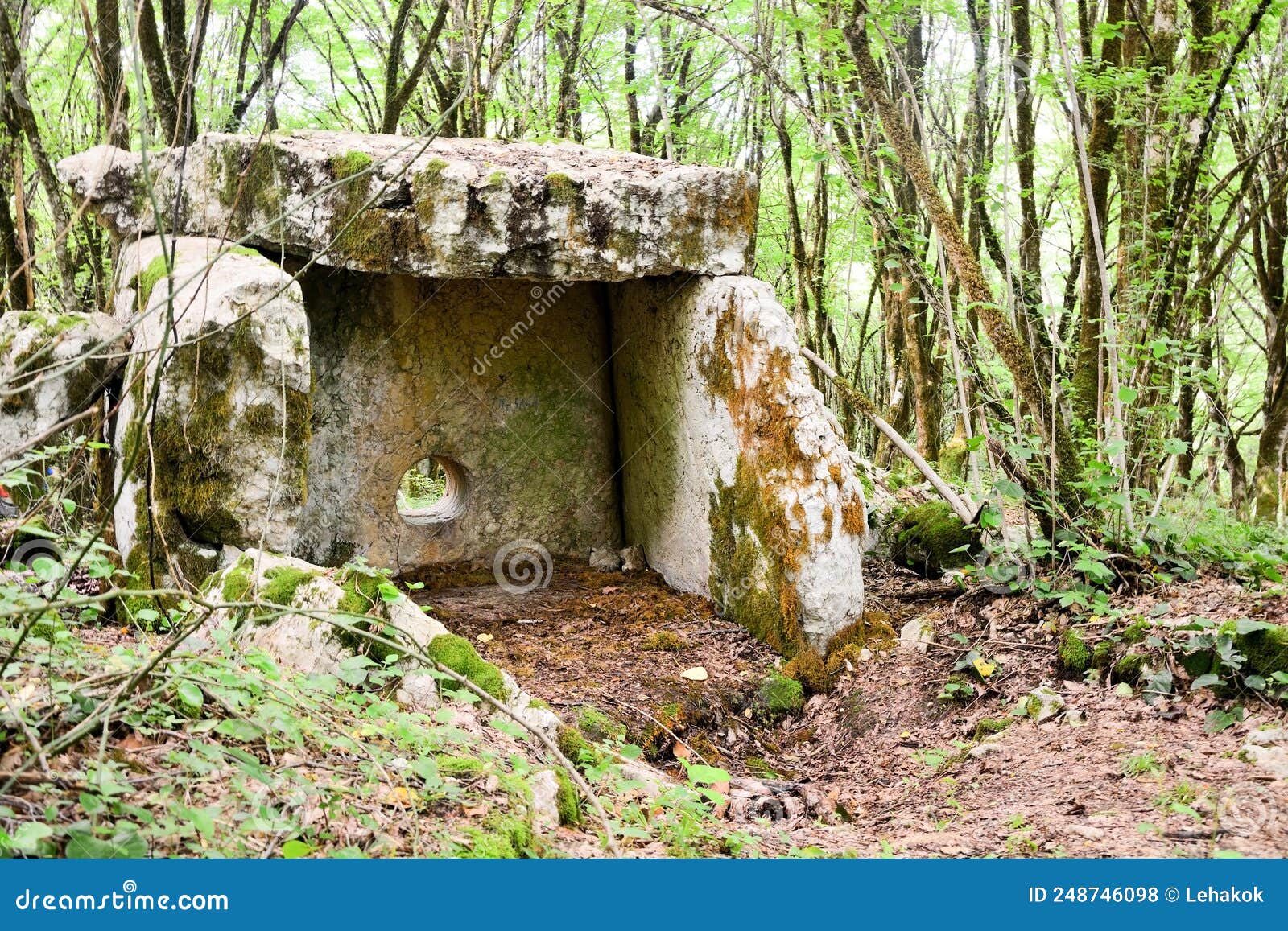 dolmen at the mysterious abkhazian forest at the kodori gorge