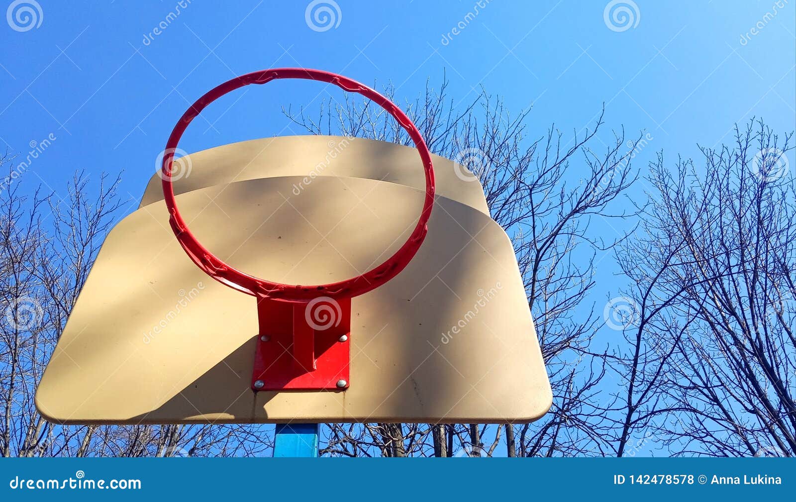 Dolny widok koszykówka obręcz outside na niebieskim niebie z gałąź w parku
