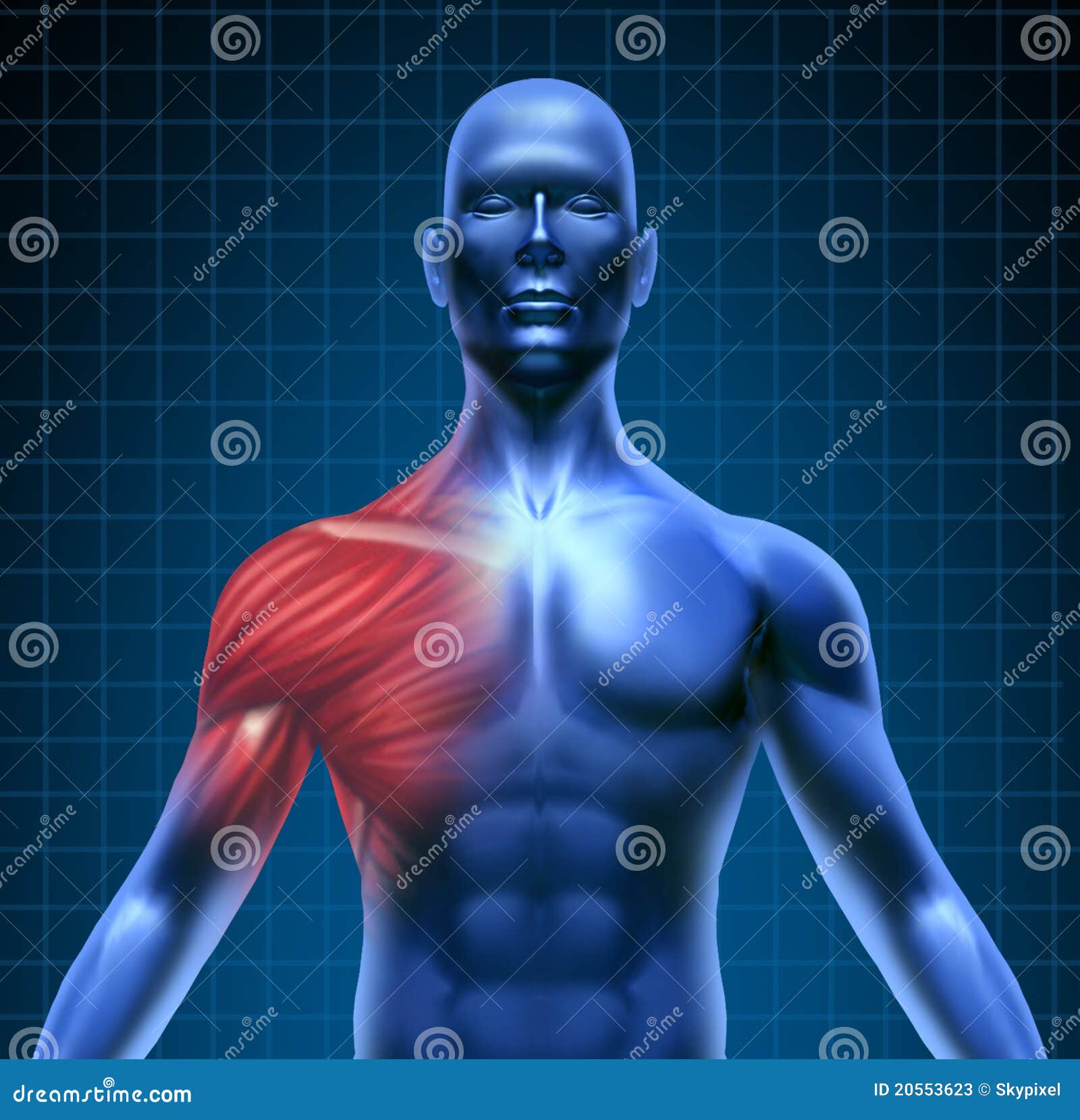 2 Rotoli SPORTTAPE Nastro Kinesiologico 5cm X 5m - Blu - Foto 3