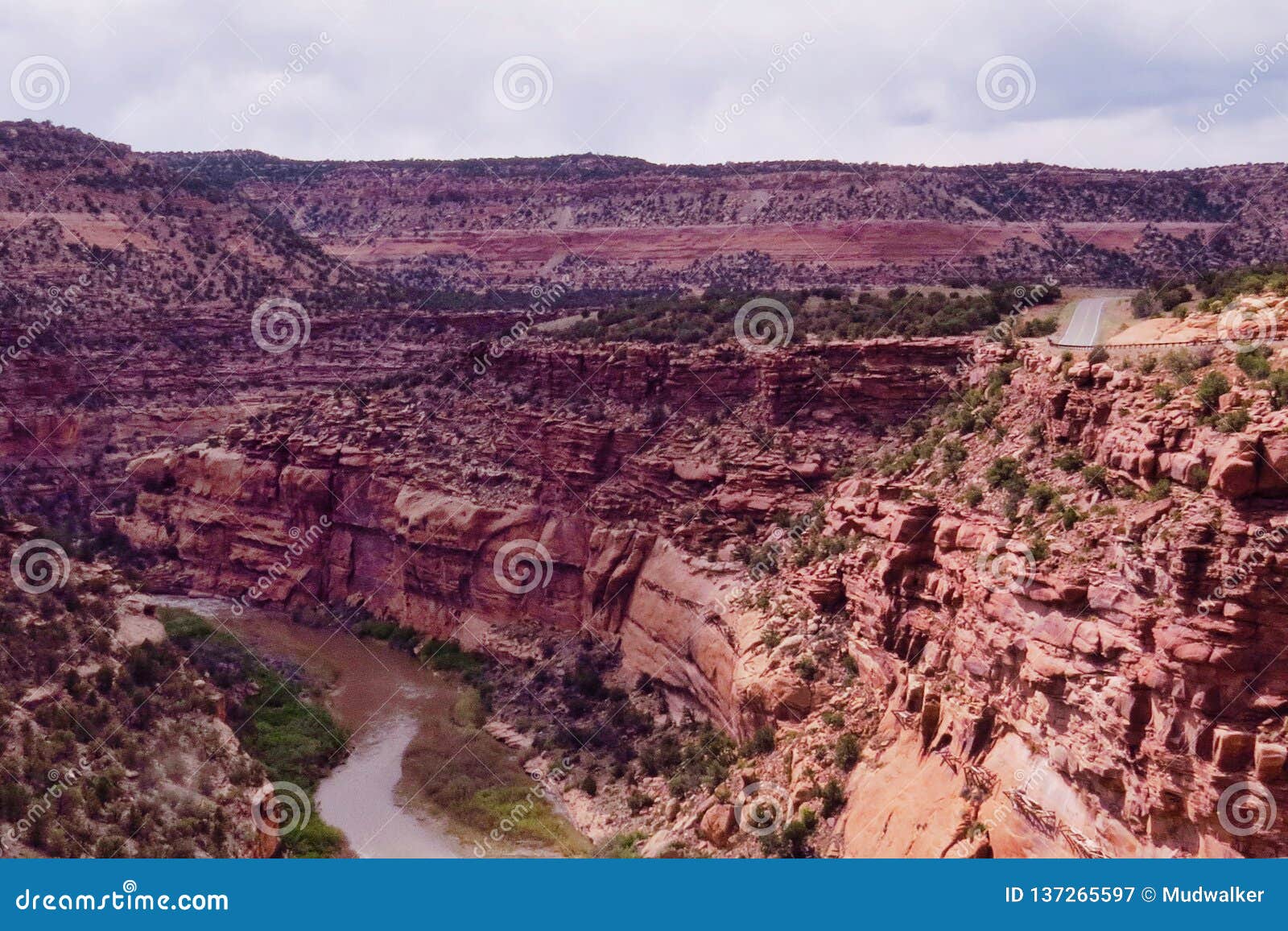 Dolores River Canyon image stock. Image du colorado 137265597