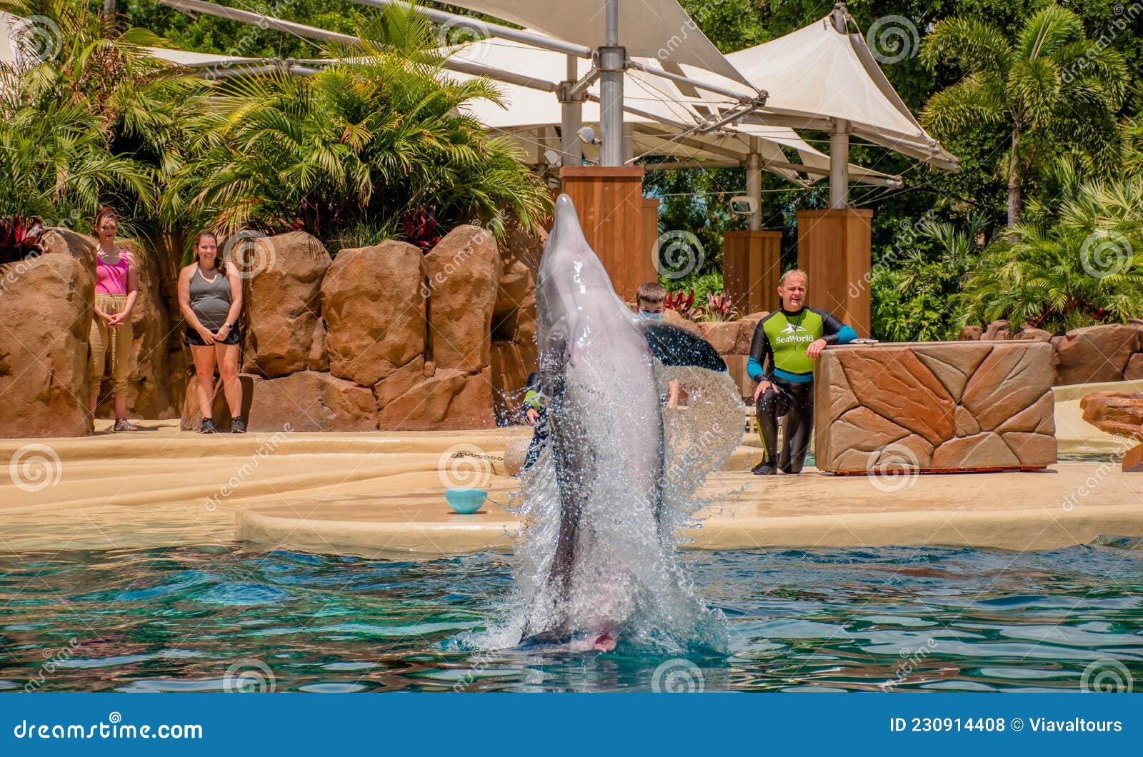 Dolphin Adventures Show at Seaworld 11 Editorial Stock Photo - Image of ...