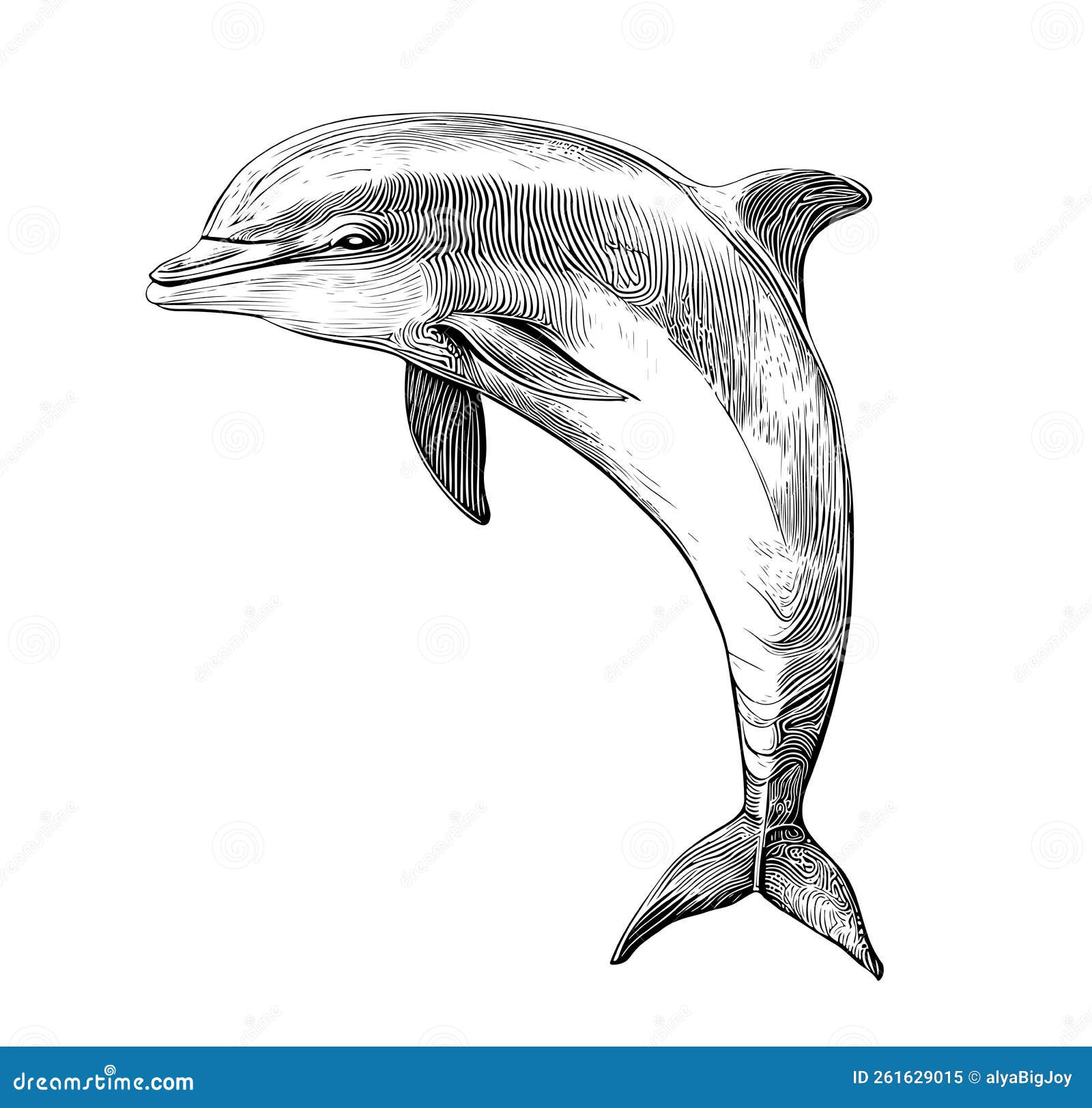 Dolphin Hand Drawn Sketch Illustration Stock Vector Illustration of