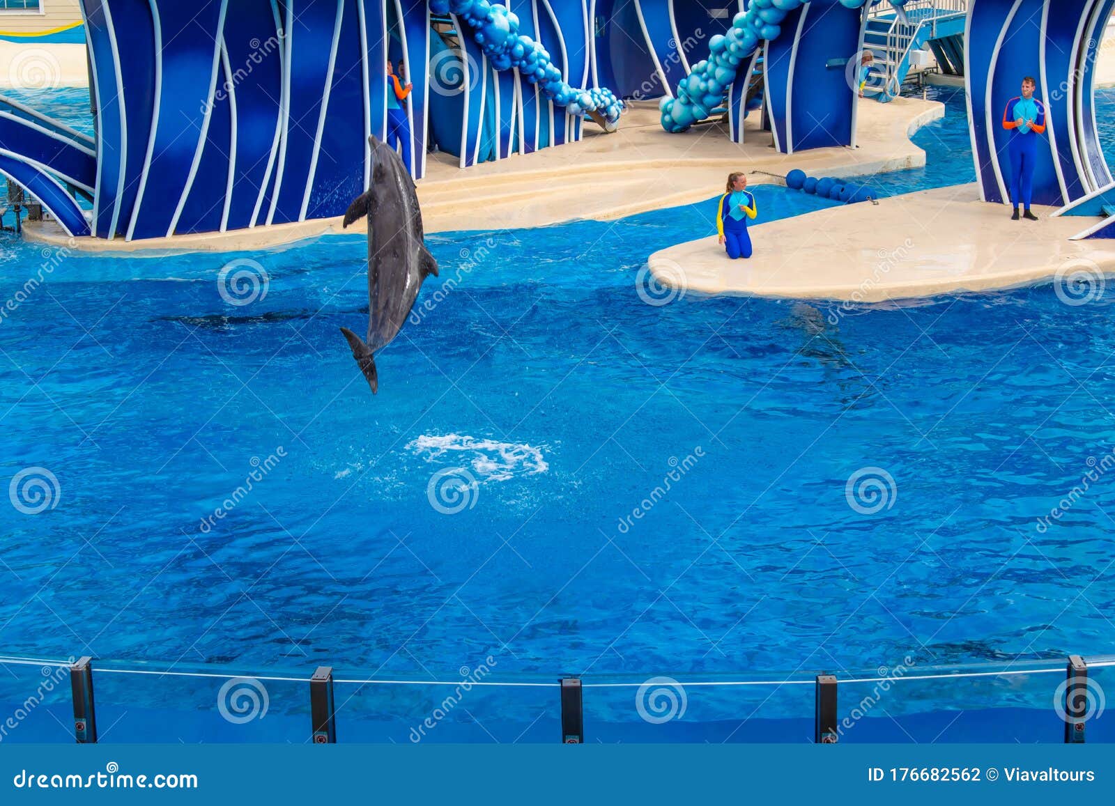 Dolphin Jumping in Dolphin Day Show at Seaworld 3. Editorial ...