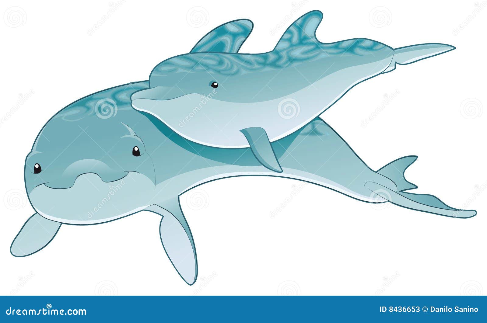 Dolphin mother and son stock vector. Illustration of ocean 8436653