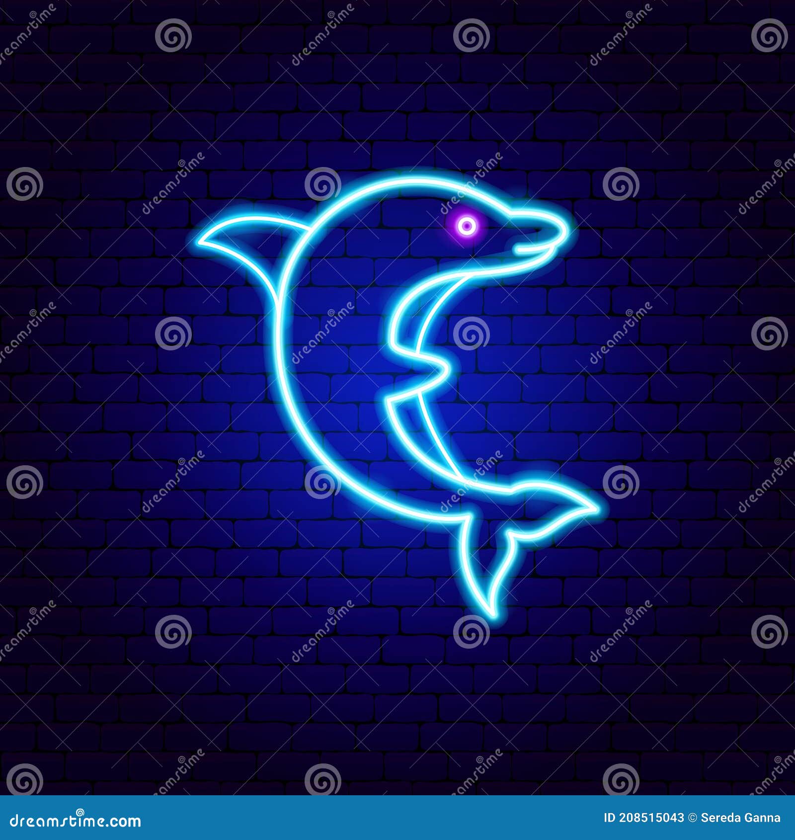 Dolphin Neon Sign stock vector. Illustration of zoological - 208515043