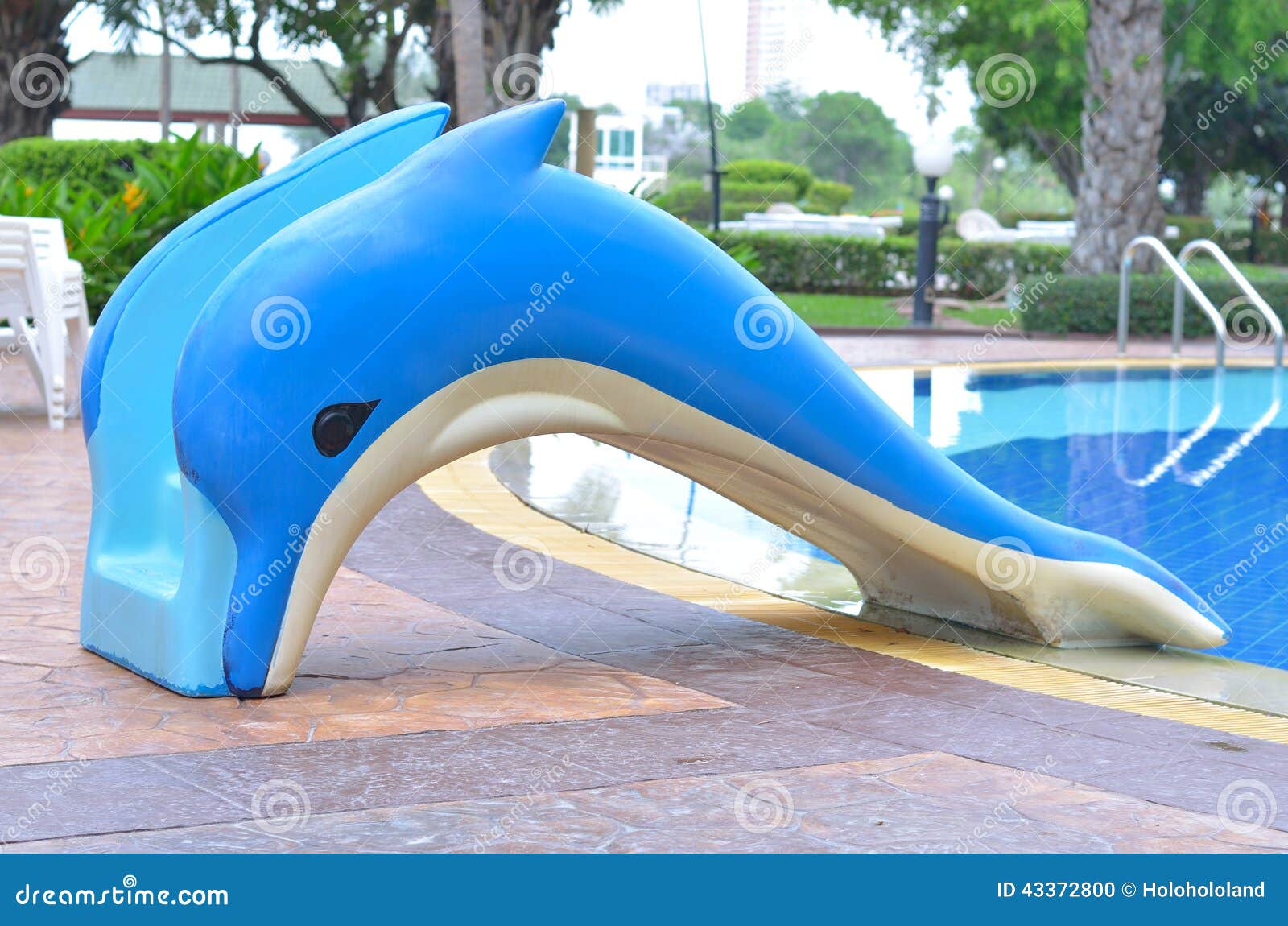 Dolphin slider stock photo. Image of dolphin, weekend 43372800