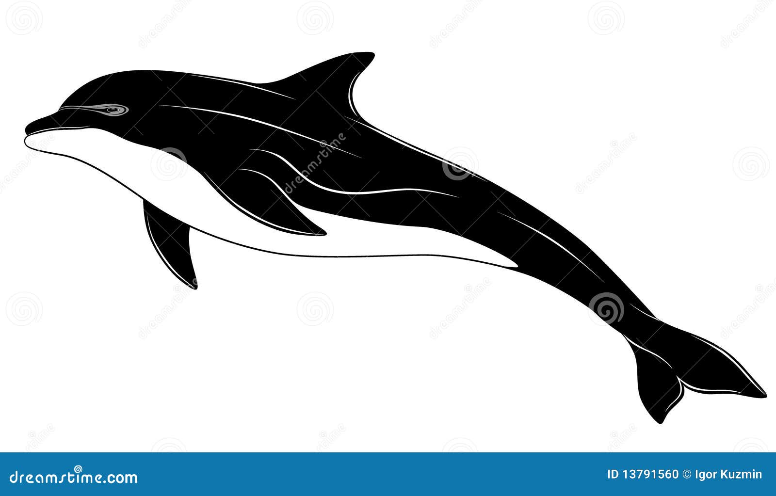 101 Best Simple Dolphin Tattoo Ideas That Will Blow Your Mind!