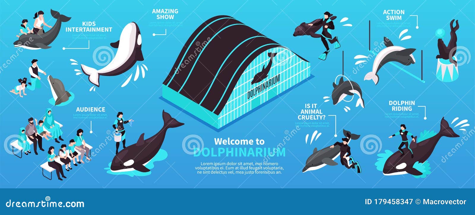 dolphinarium isometric infographics layout