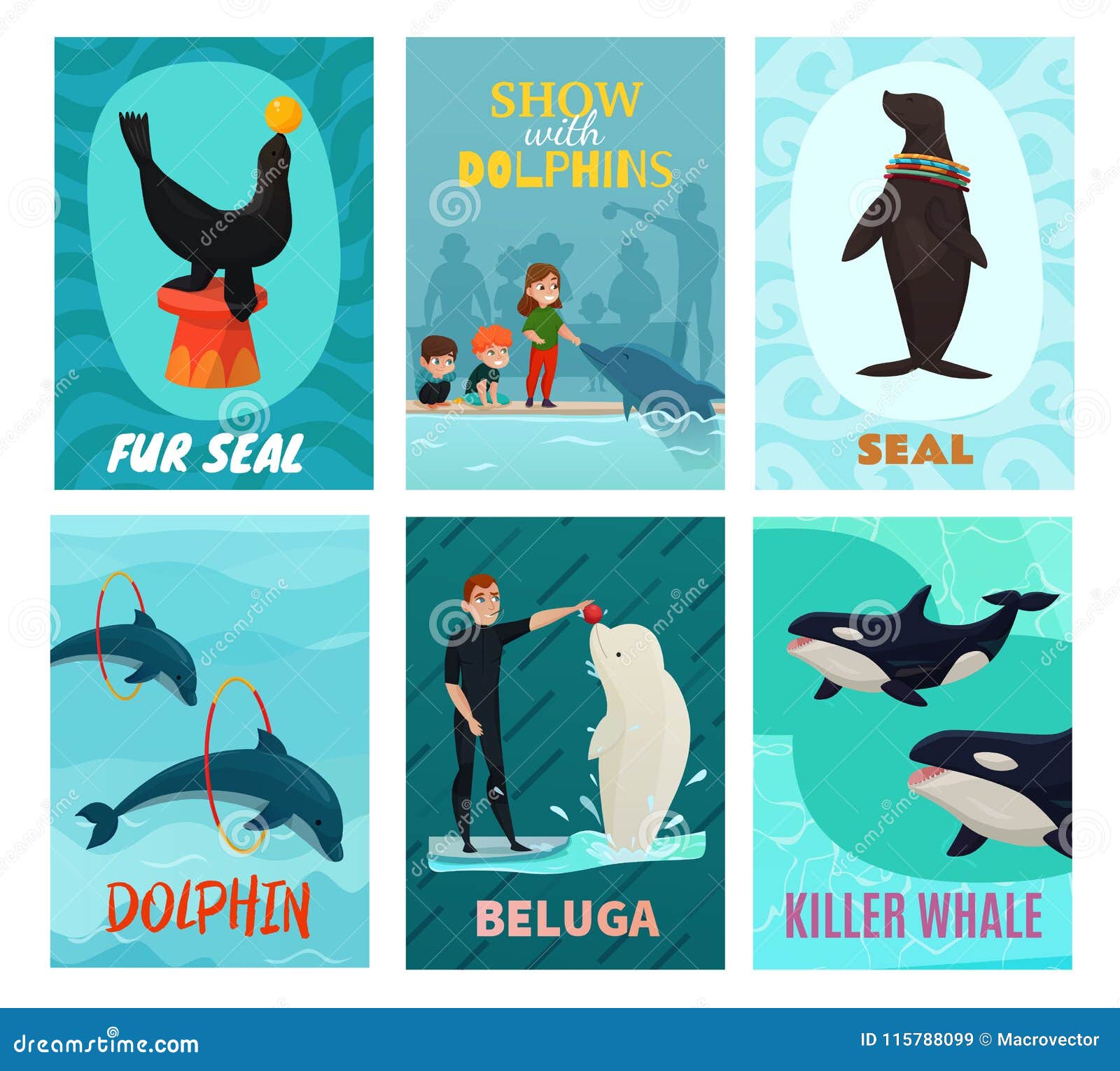dolphinarium show cards set