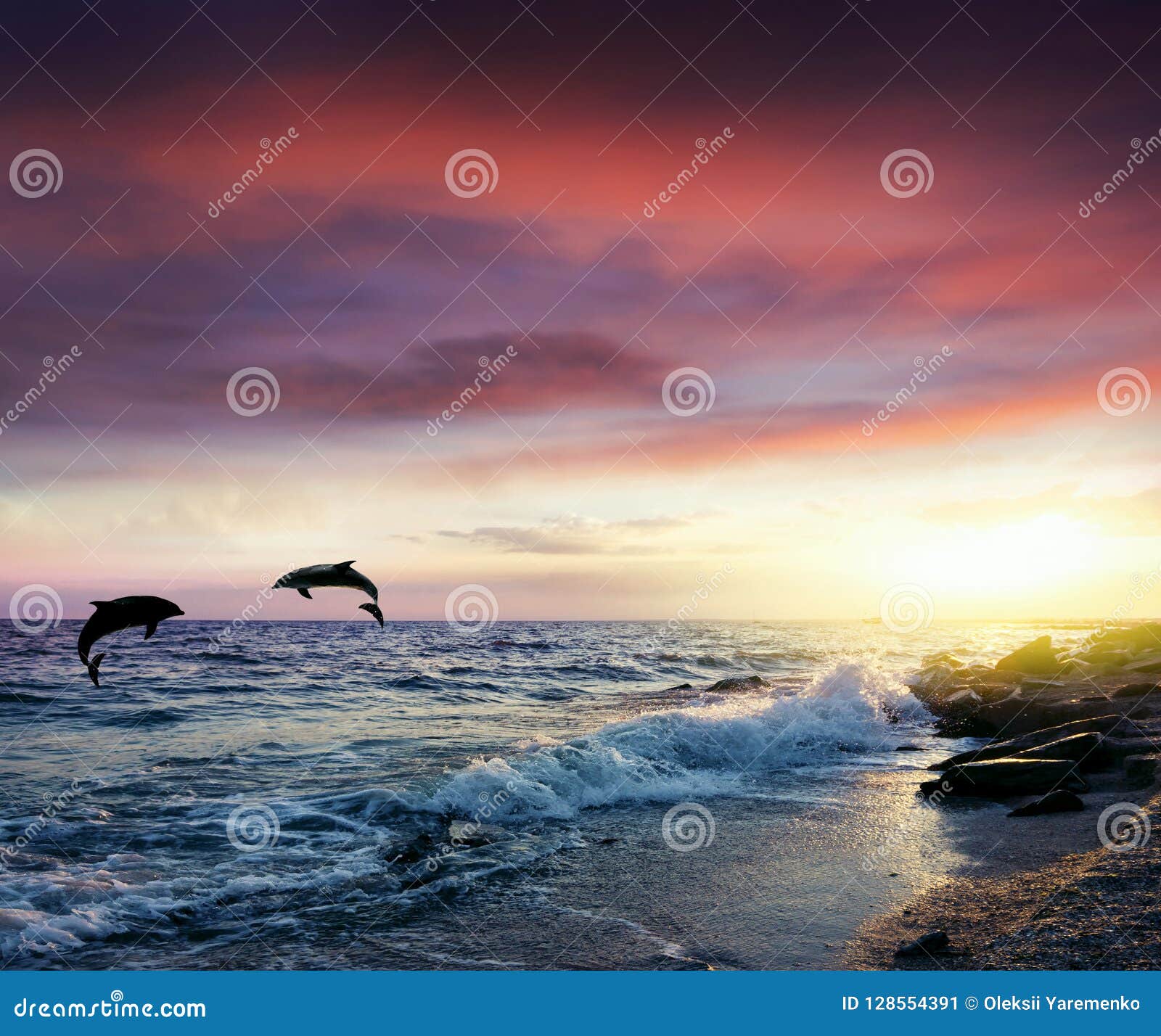 My Image 14