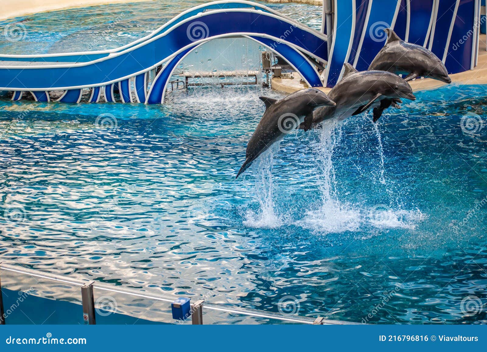 Dolphins Jumping in Dolphin Days Show at Seaworld 2 Editorial Photo ...