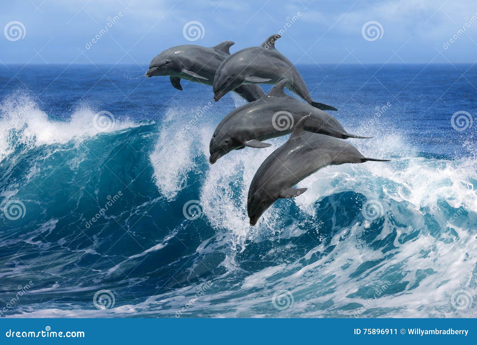 Dolphins Jumping Over Waves Stock Image - Image of aquatic, dolphins:  75896911