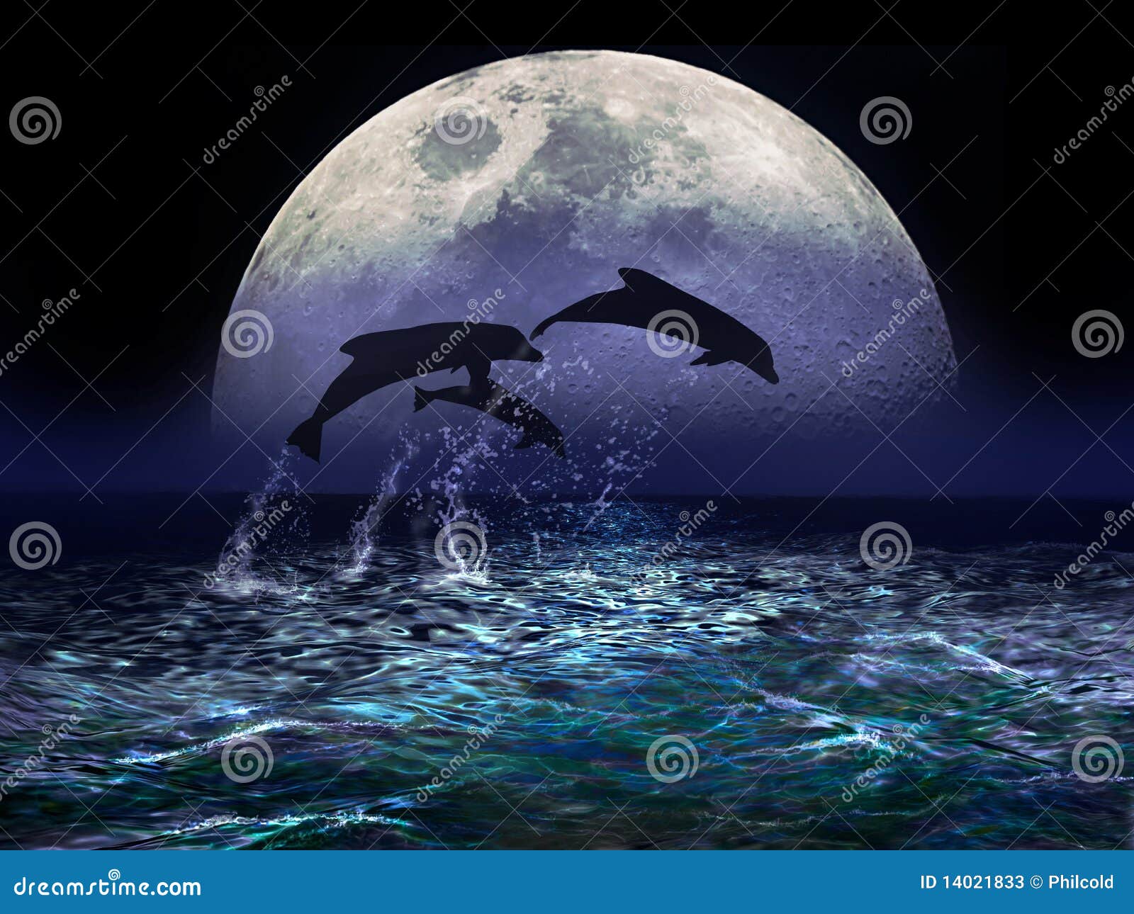 Луна дельфины слушать. Луна дельфины. Луна море дельфины. Дельфины при Луне. Дельфины море. Ночи.