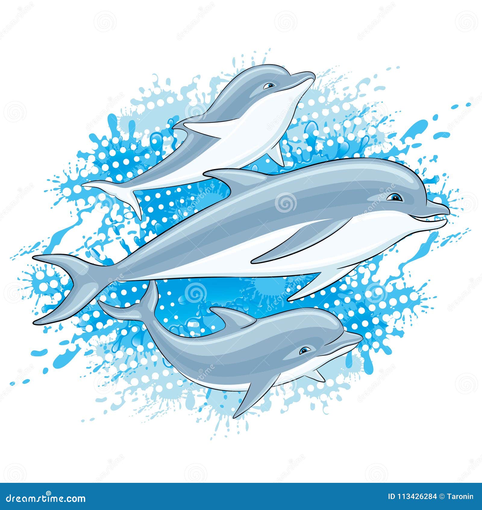Dolphins and water splash. stock vector. Illustration of whale 113426284