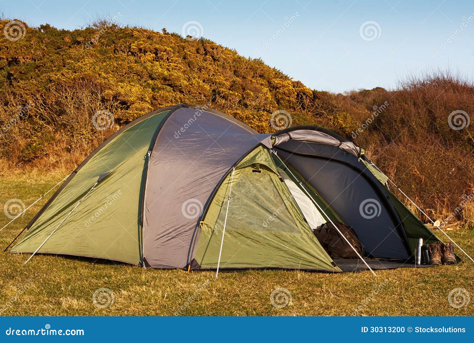 dome tent pitched in field
