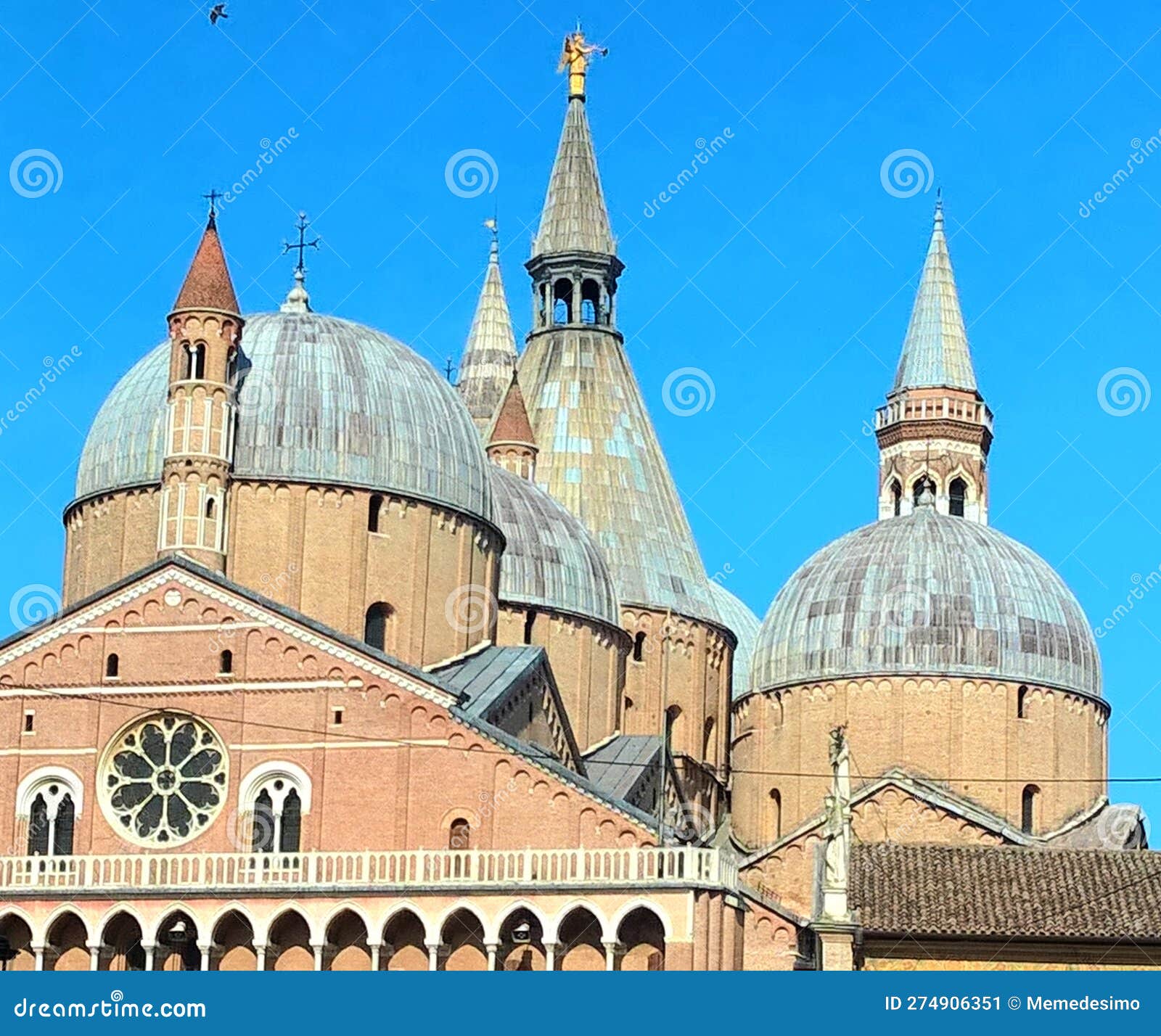 domes of the basilica of sant'antonio di padova