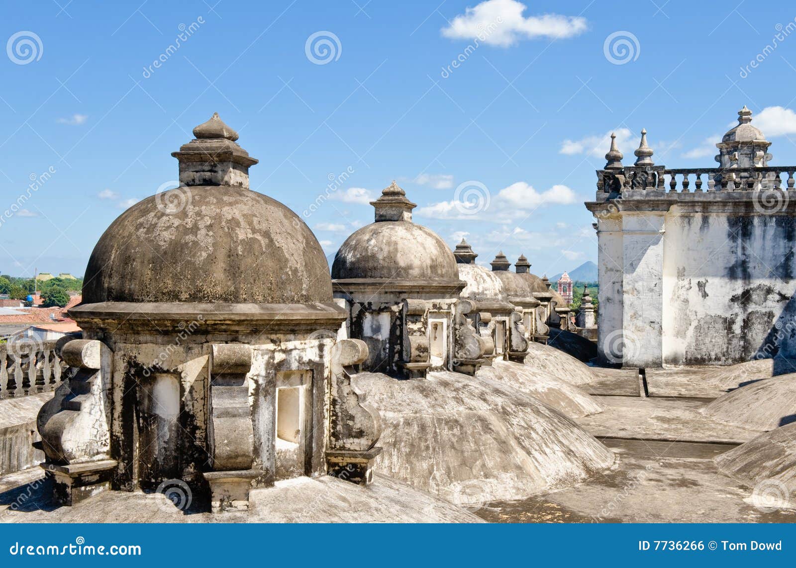 domes on cathedral roof leon
