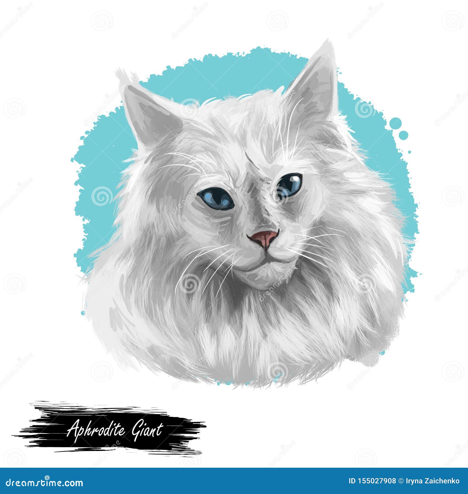 Domestic Breed Aphrodite Giant Cat Isolated On White Background Digital Art Illustration Of Hand Drawn Kitty For Web Kitten Long Stock Illustration Illustration Of Drawn Kitten 155027908