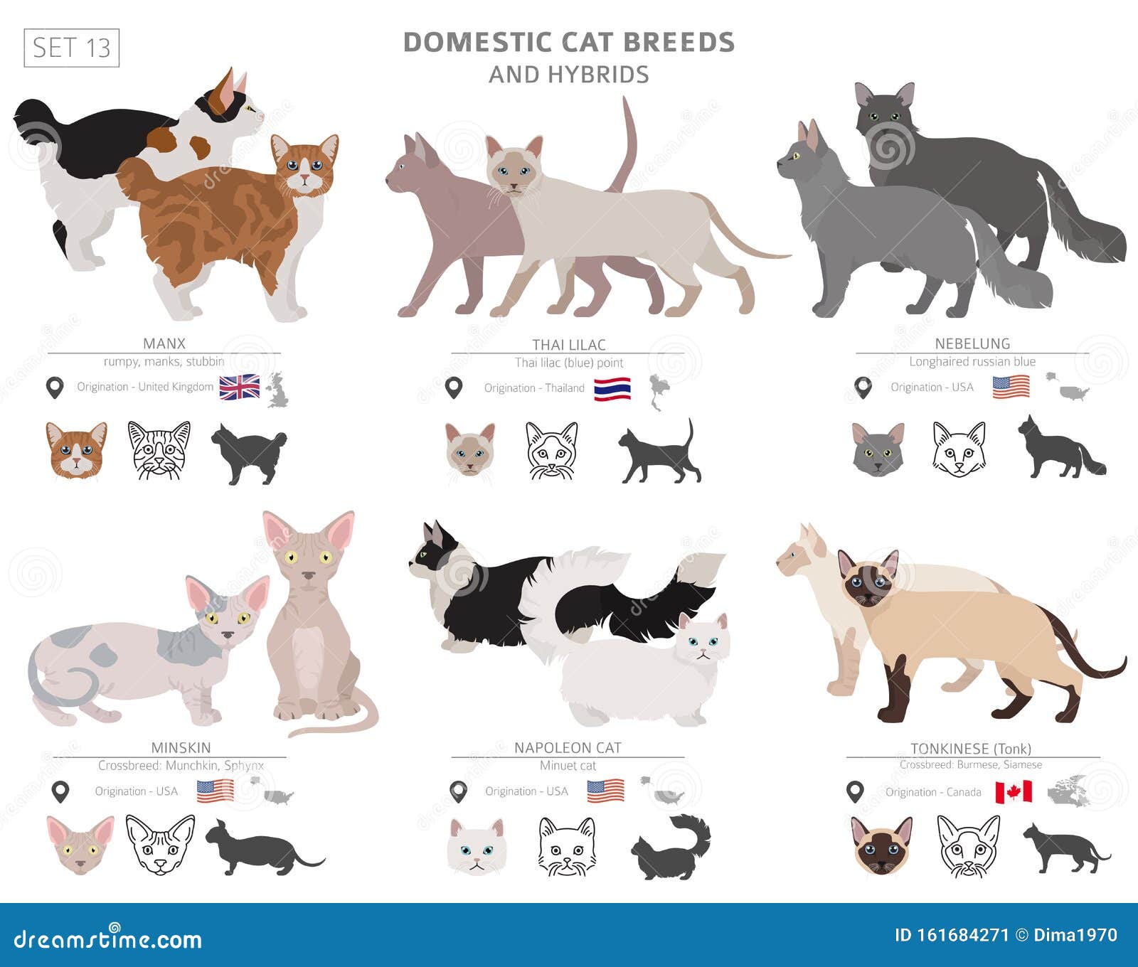 Free Vector  Domestic cat breeds flat icons collection