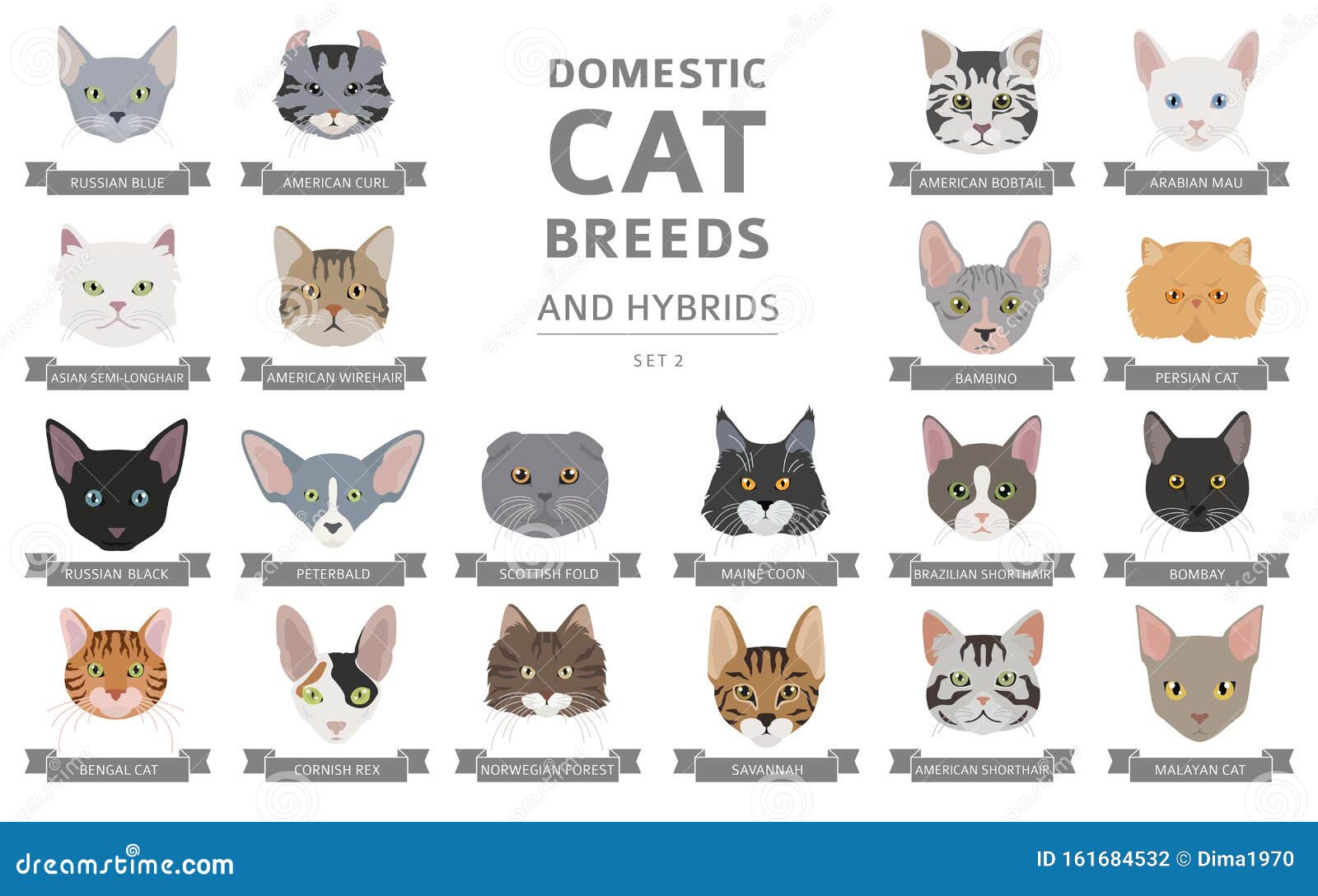 cat breeds a to z