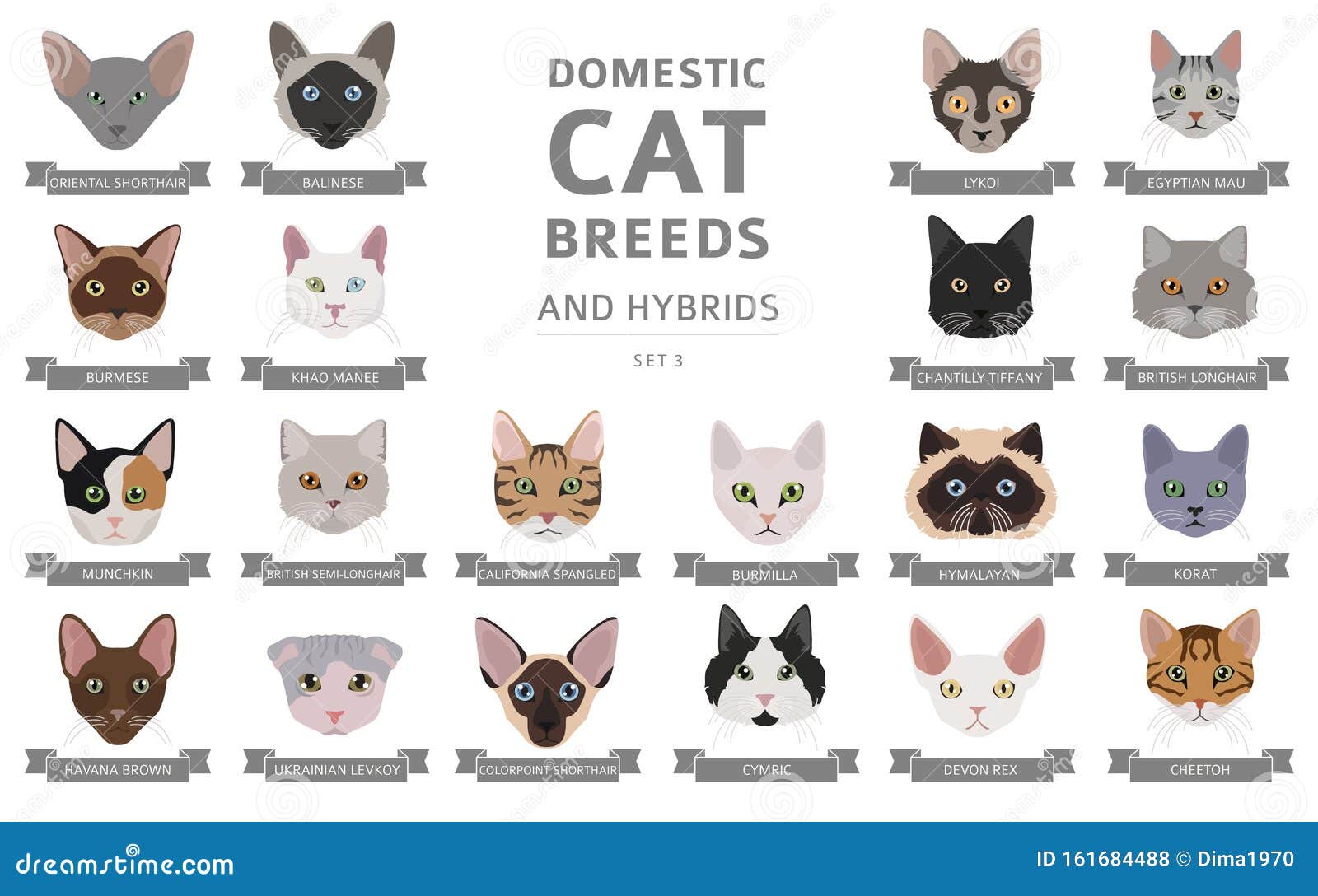 Cat Breeds Chart