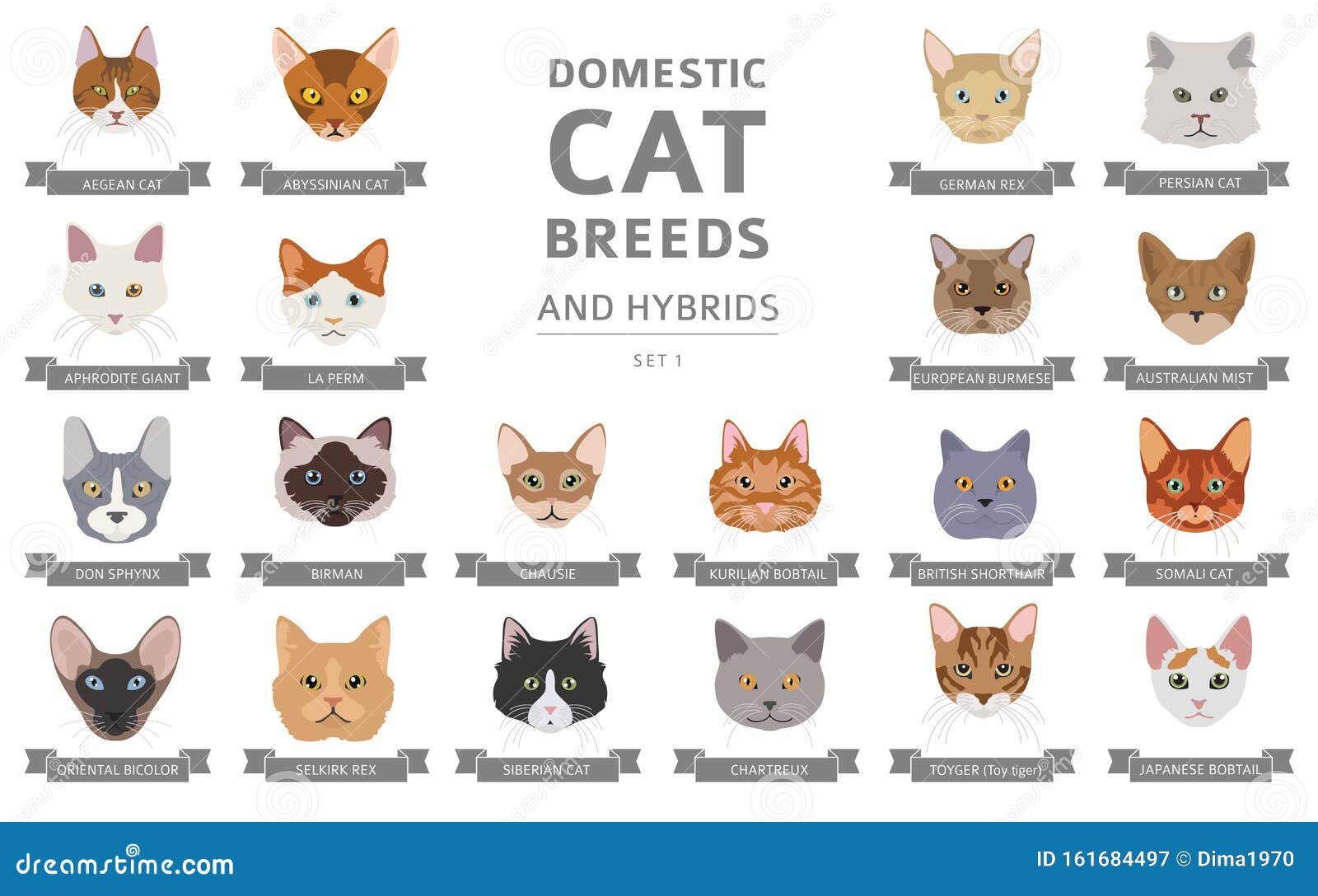 Set Of Cute Cats Flat Icons, Vector Flat Illustrations. Cat Breeds