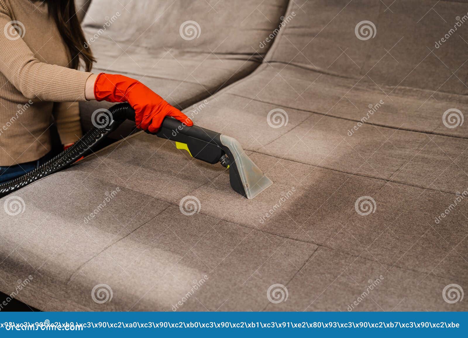 Domestic Cleaning Service Cleaner is Removing Dirt and Dust from Couch