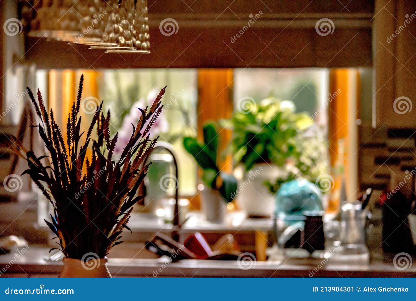 domestic kitchen decorations in private home
