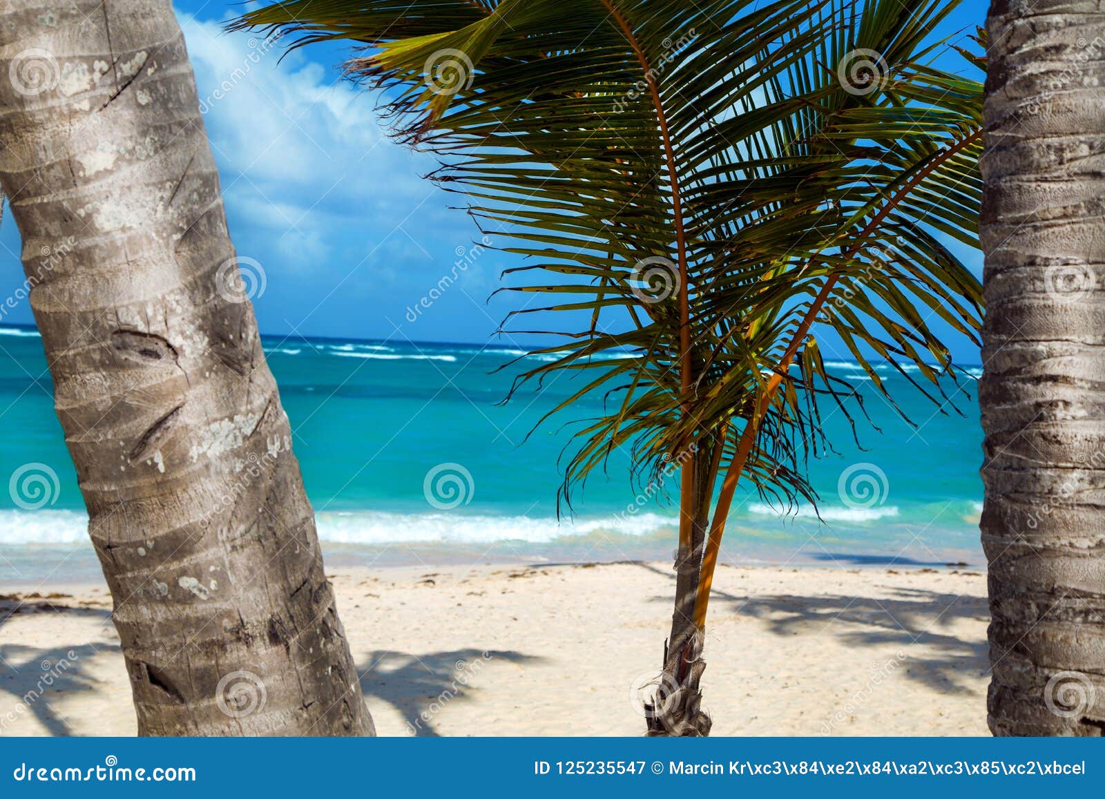 dominican republic, punta cana, saona island - mano juan beach. fishermen`s village