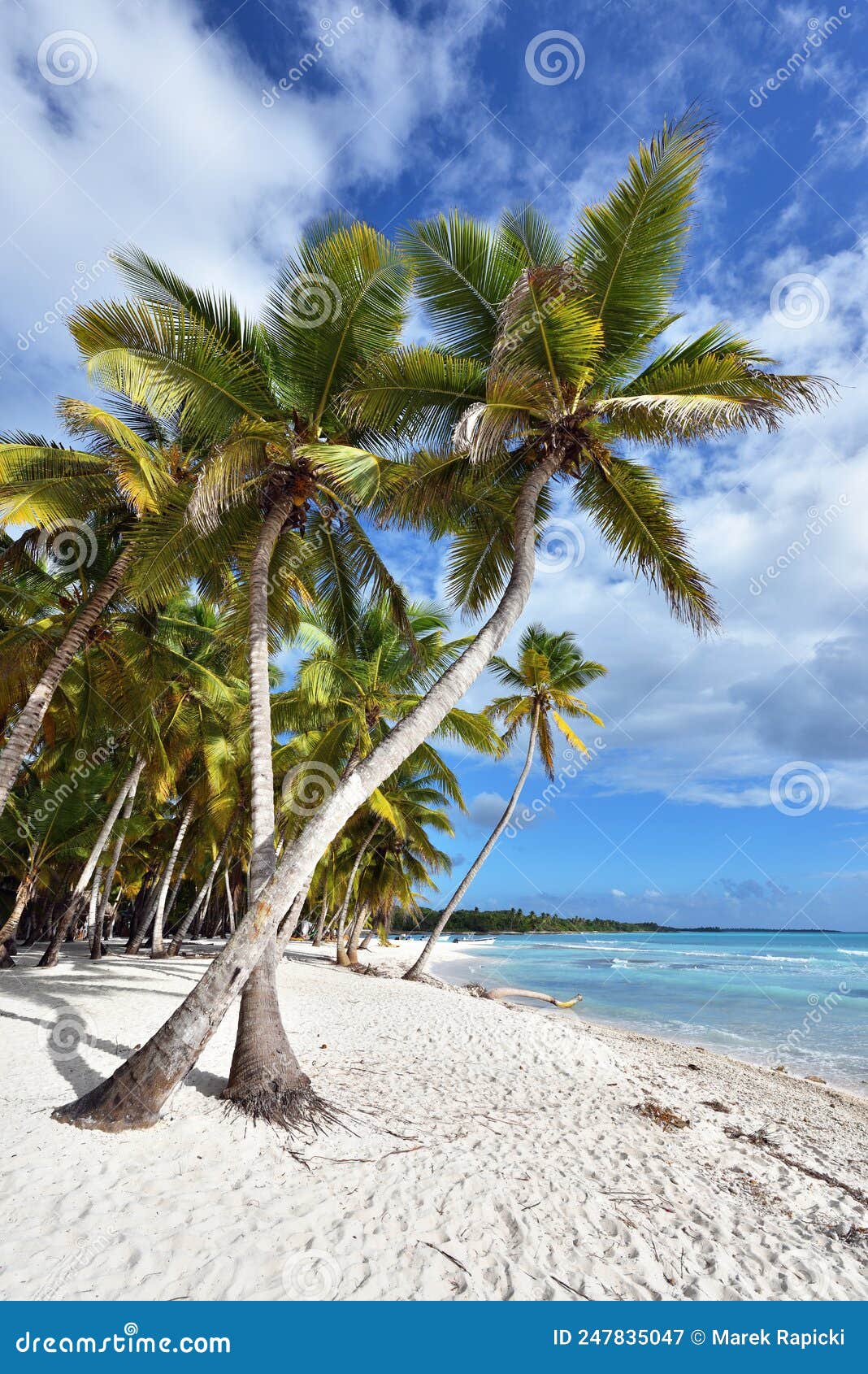 dominican republic, saona island - mano juan beach