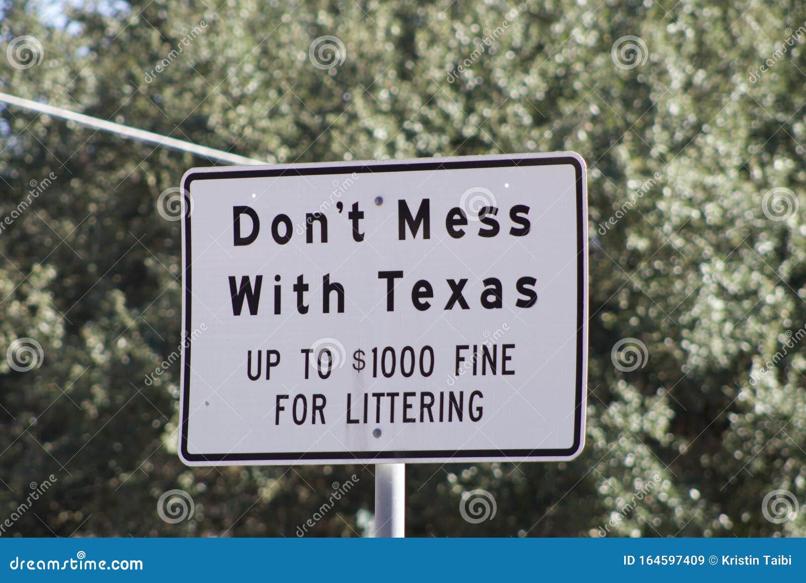don`t mess with texas sign