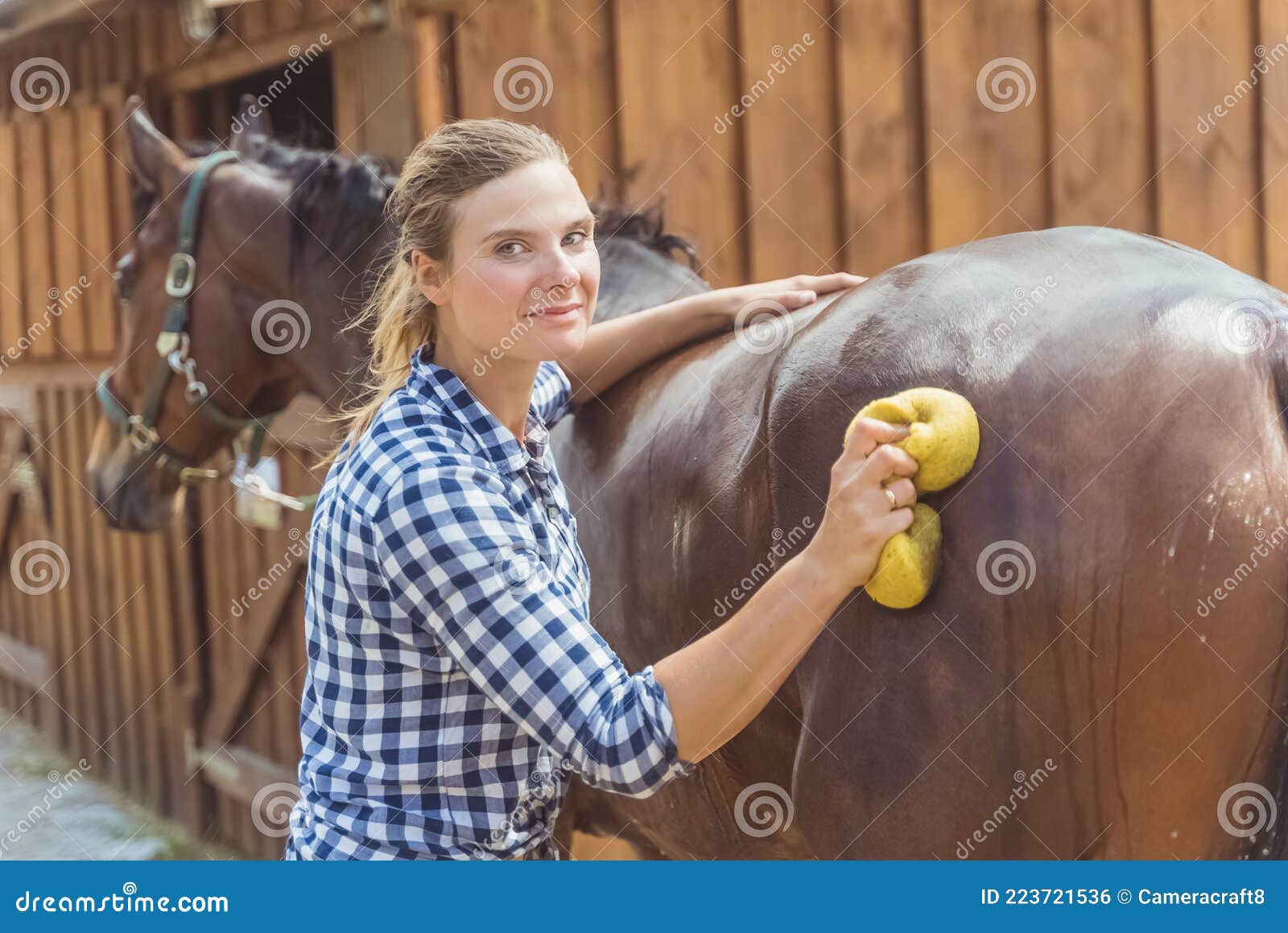 Cuidados com o banho de cavalos