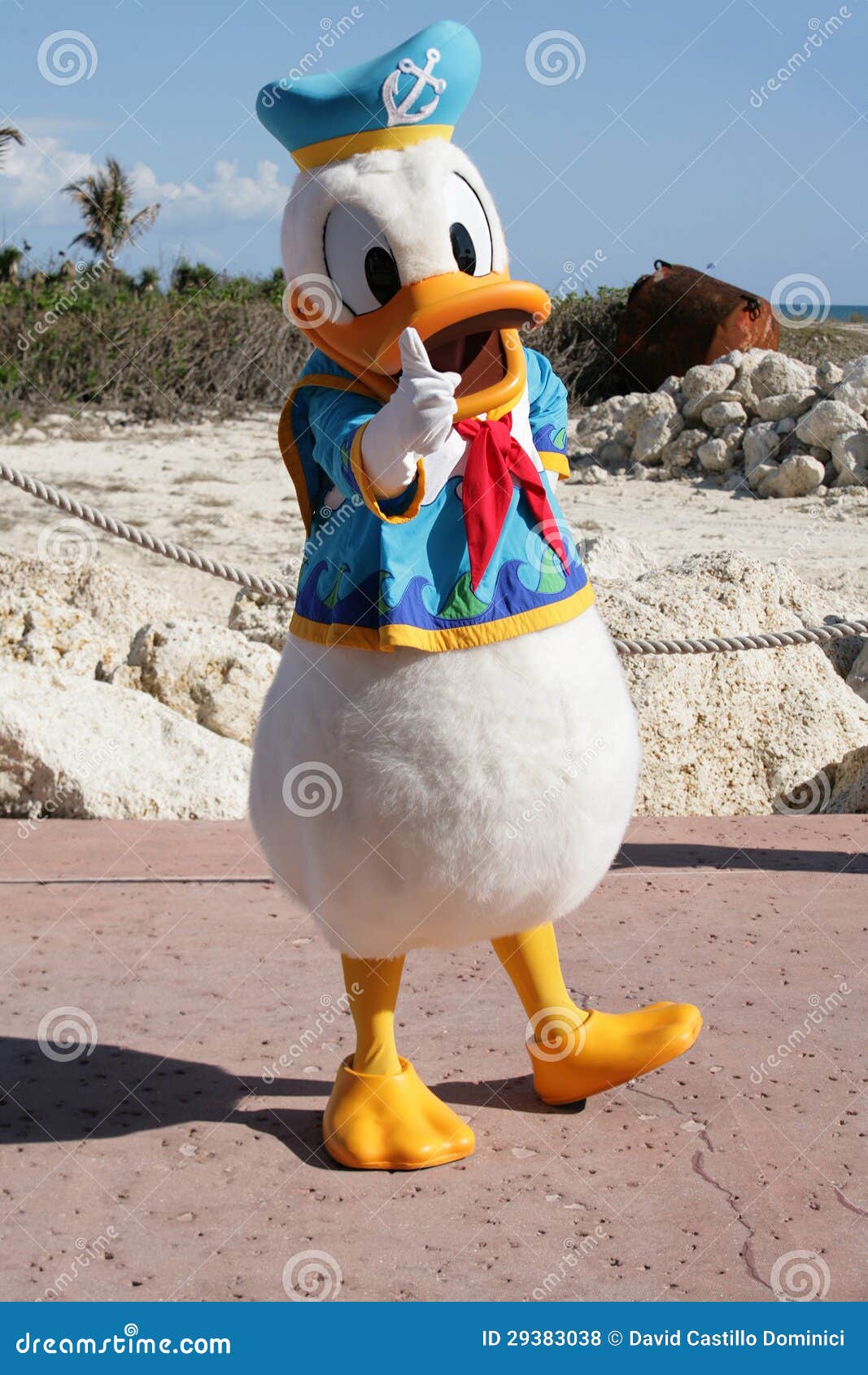 Duck Cartoon Walking Stock Photos - Free & Royalty-Free Stock Photos from  Dreamstime