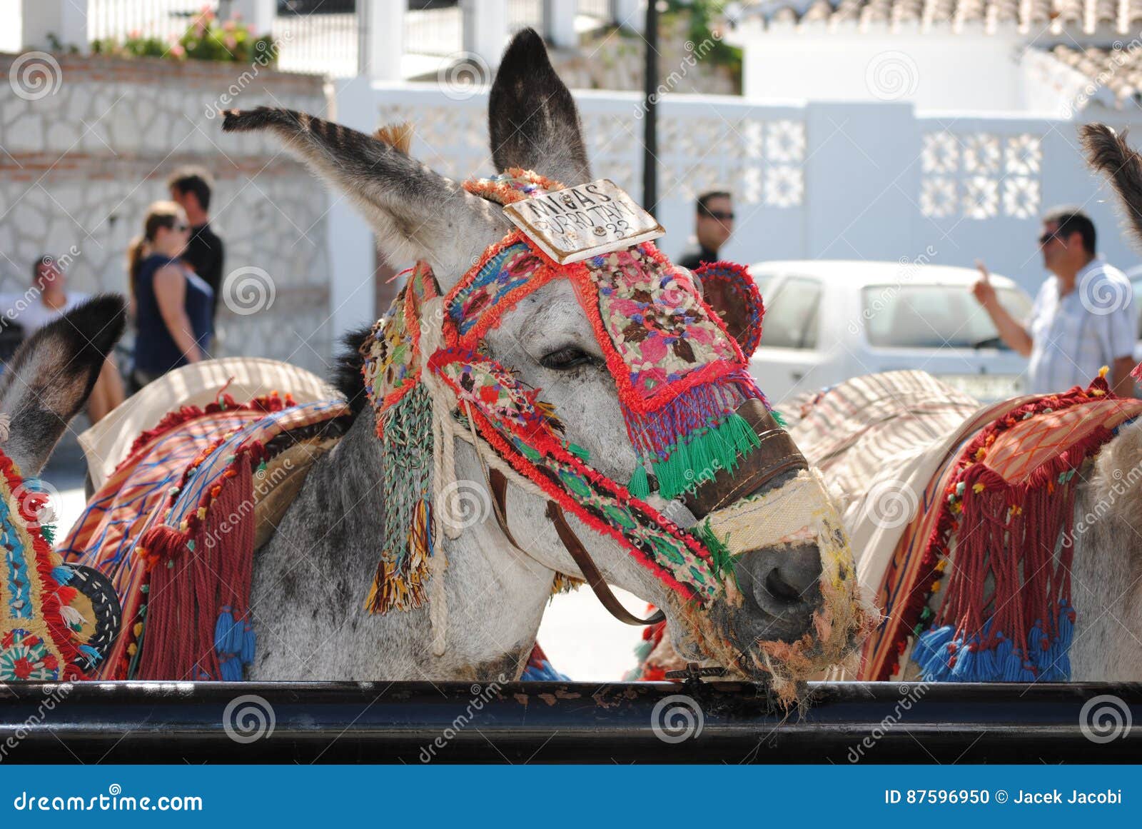 Donkey in Mijas. Andalusia, Spain. Editorial Image Image of travel