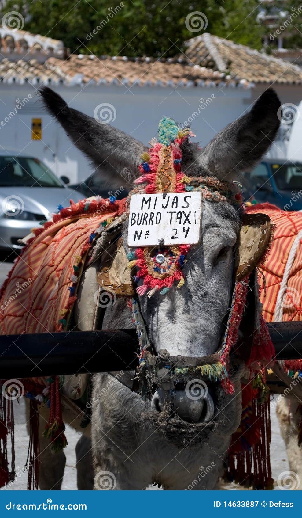 Donkey Taxi. Spain. stock image. Image of public, traditional 14633887