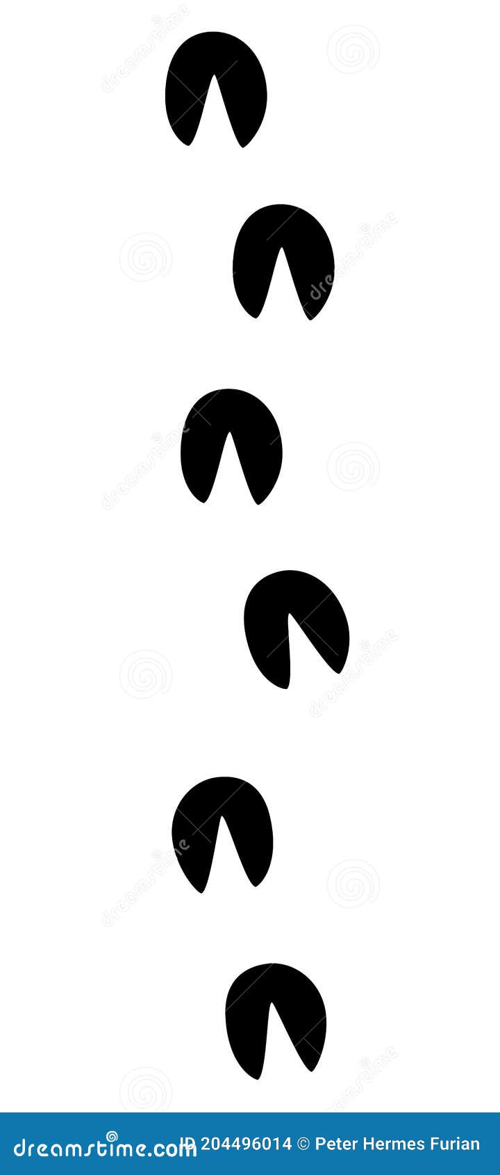 donkey tracks ass footprints black footmark