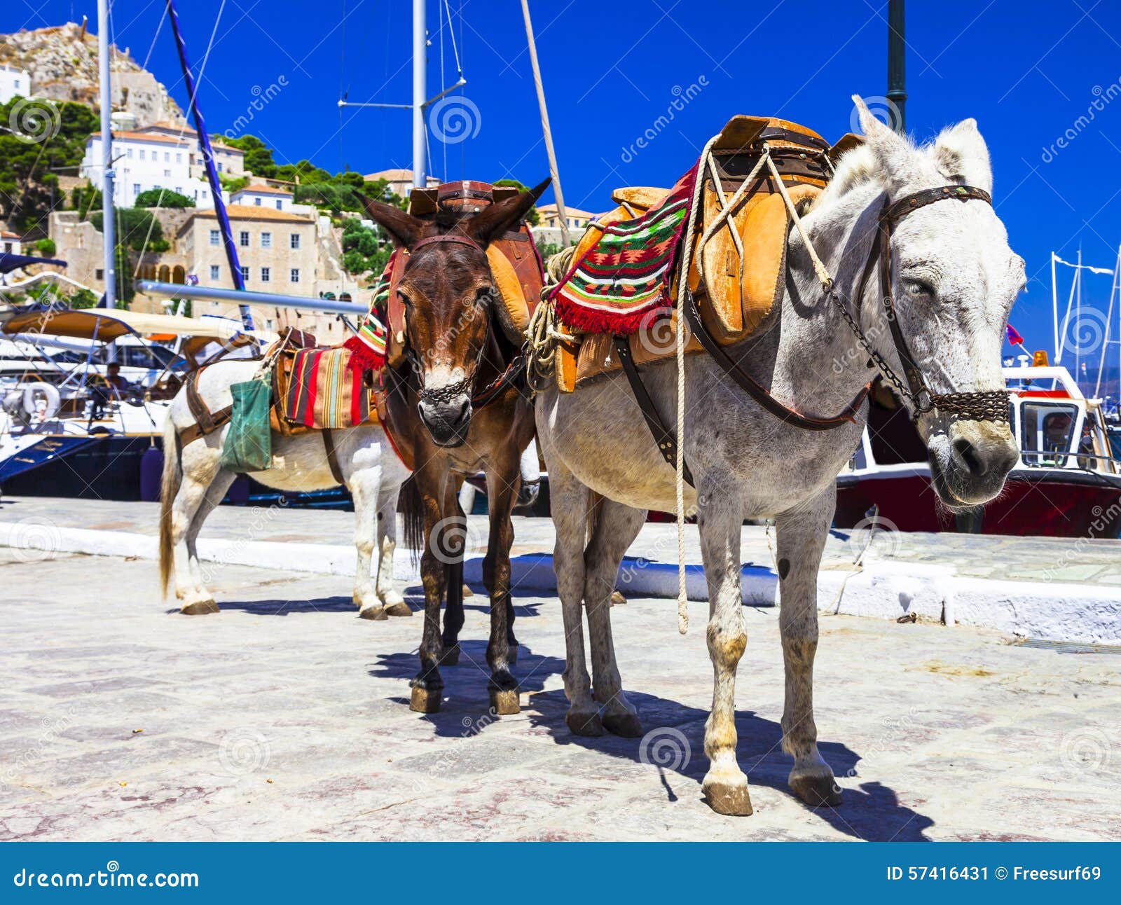 donkeys in hydra island, greece