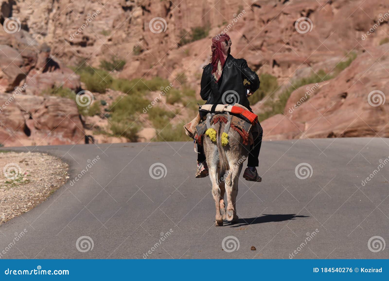 Donkeys Working As Transport and Pack Animals in Petra, Jordan. Persistent Animals  Used To Transport Tourists Around the Ancient Editorial Photo - Image of  luggage, attraction: 184540276