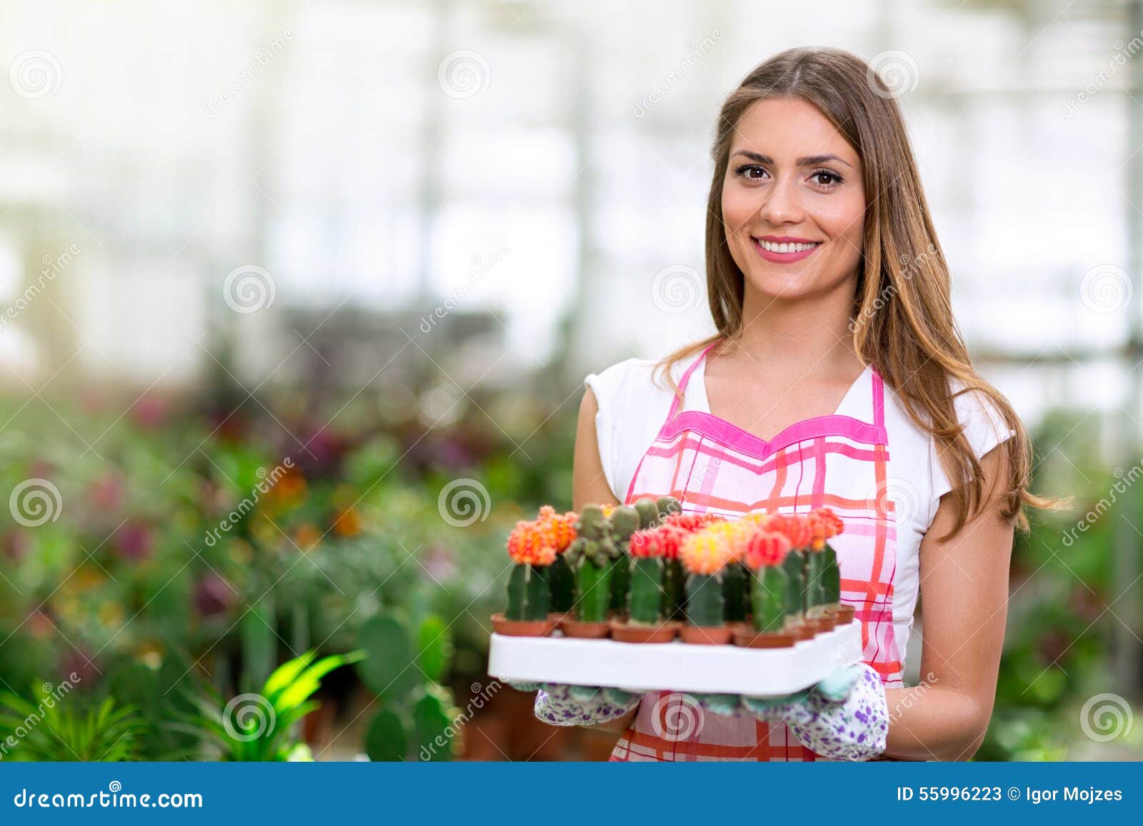 Donna Che Tiene Un Cactus in Serra Immagine Stock Immagine di