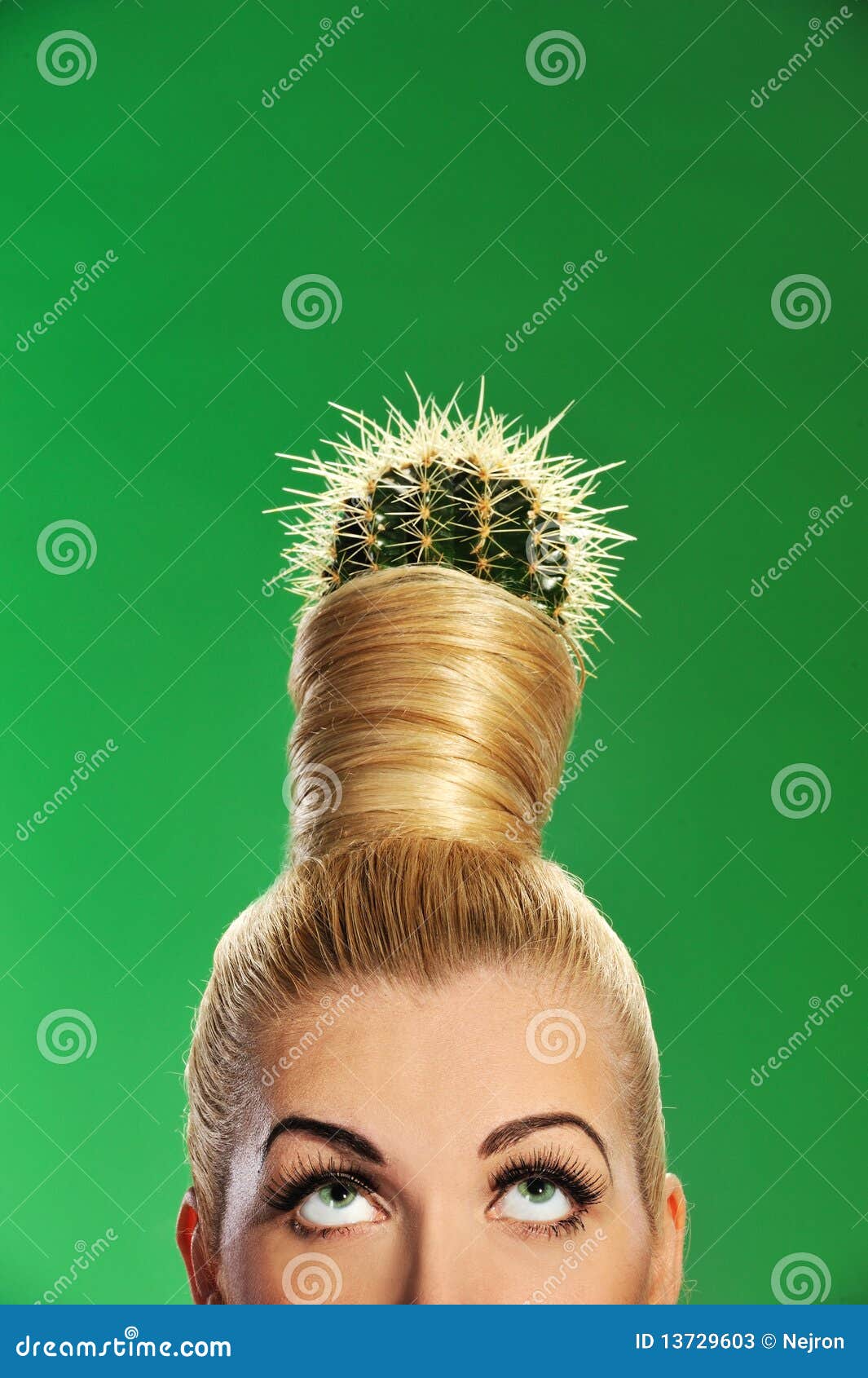 Donna Con Il Cactus in Suoi Capelli Immagine Stock Immagine di